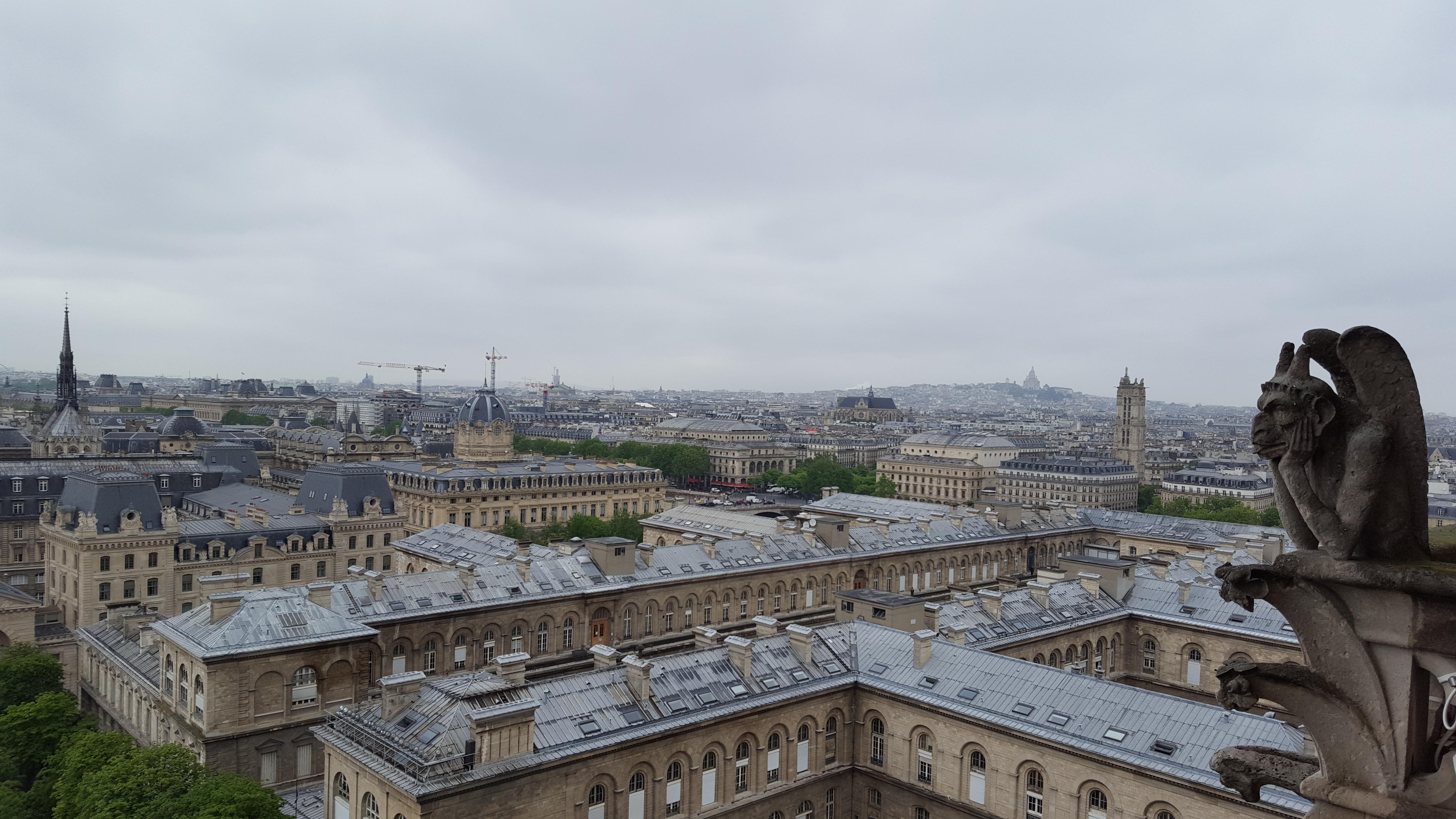 Gargoyle overlooking Paris, France