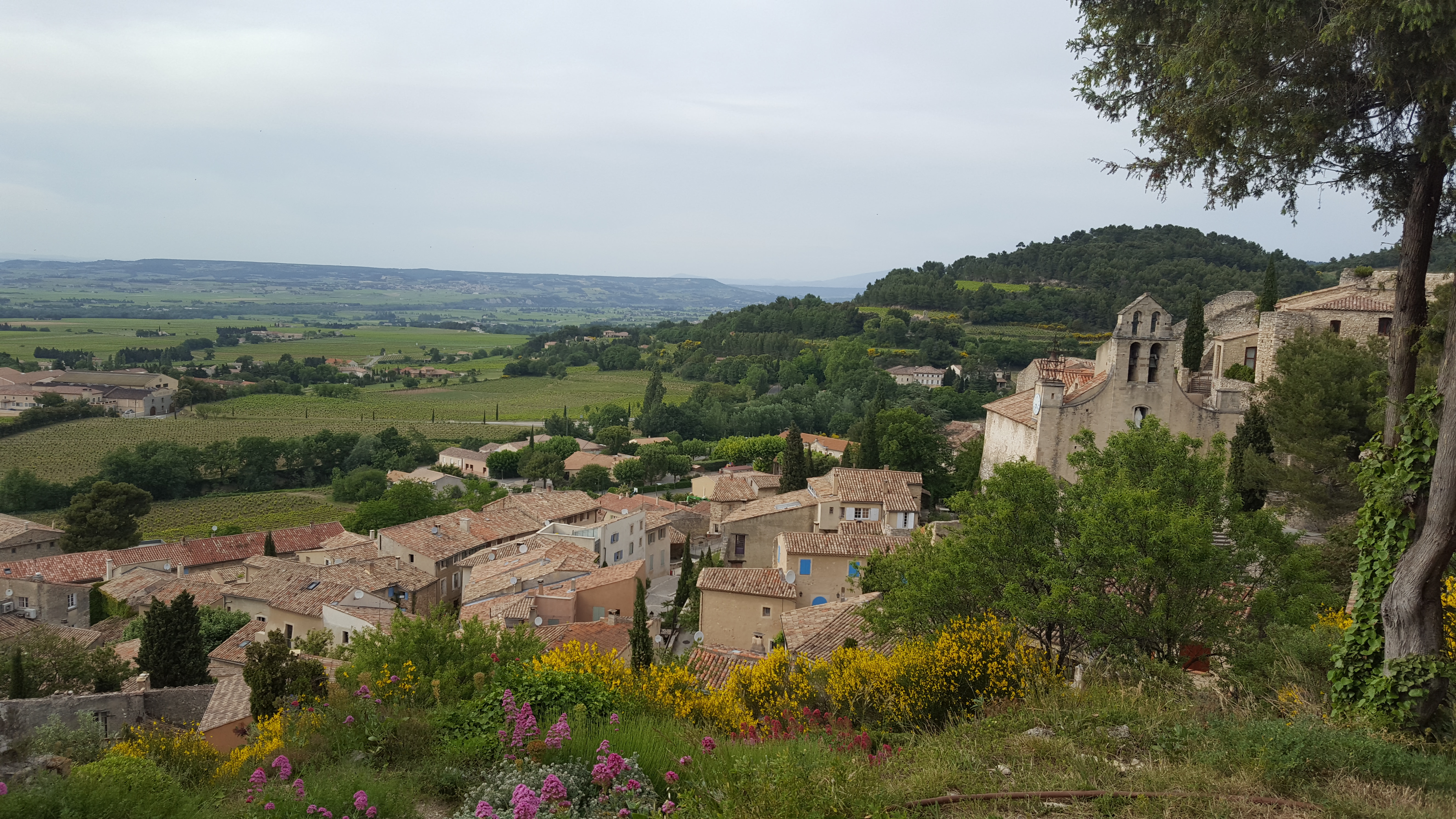 A hillside in Gigondas, France