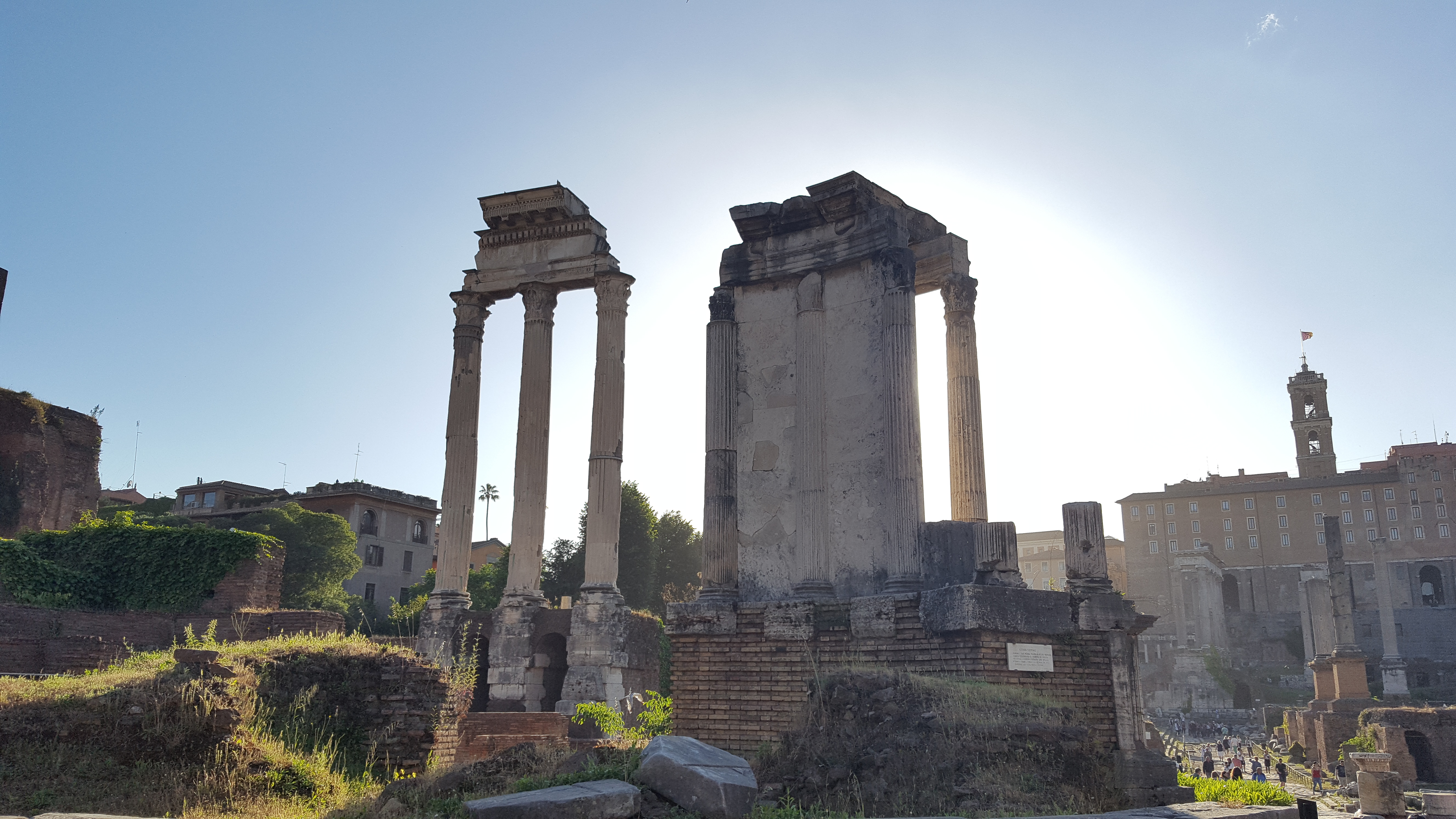 A view of the Roman Forum