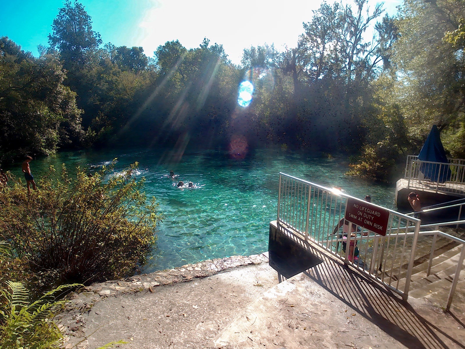 A group of swimmers in Ichetucknee Springs
