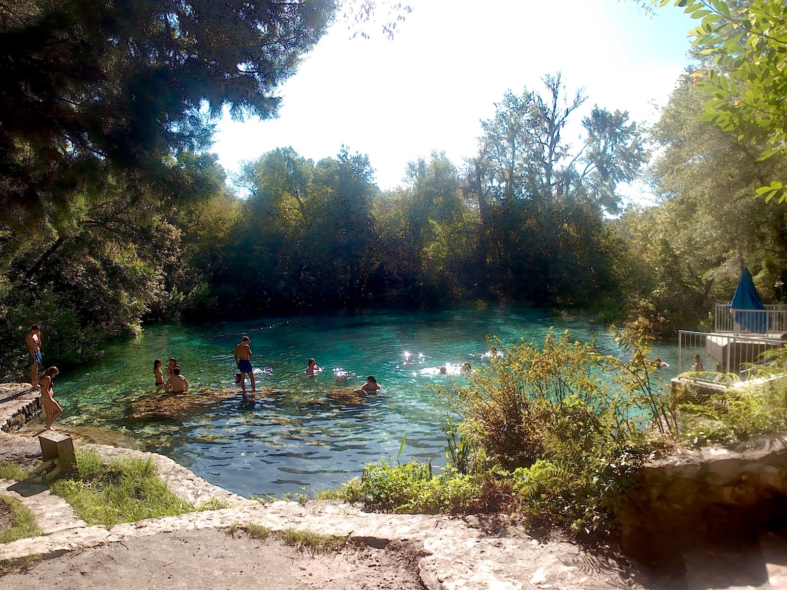 A group of swimmers in Ichetucknee Spring
