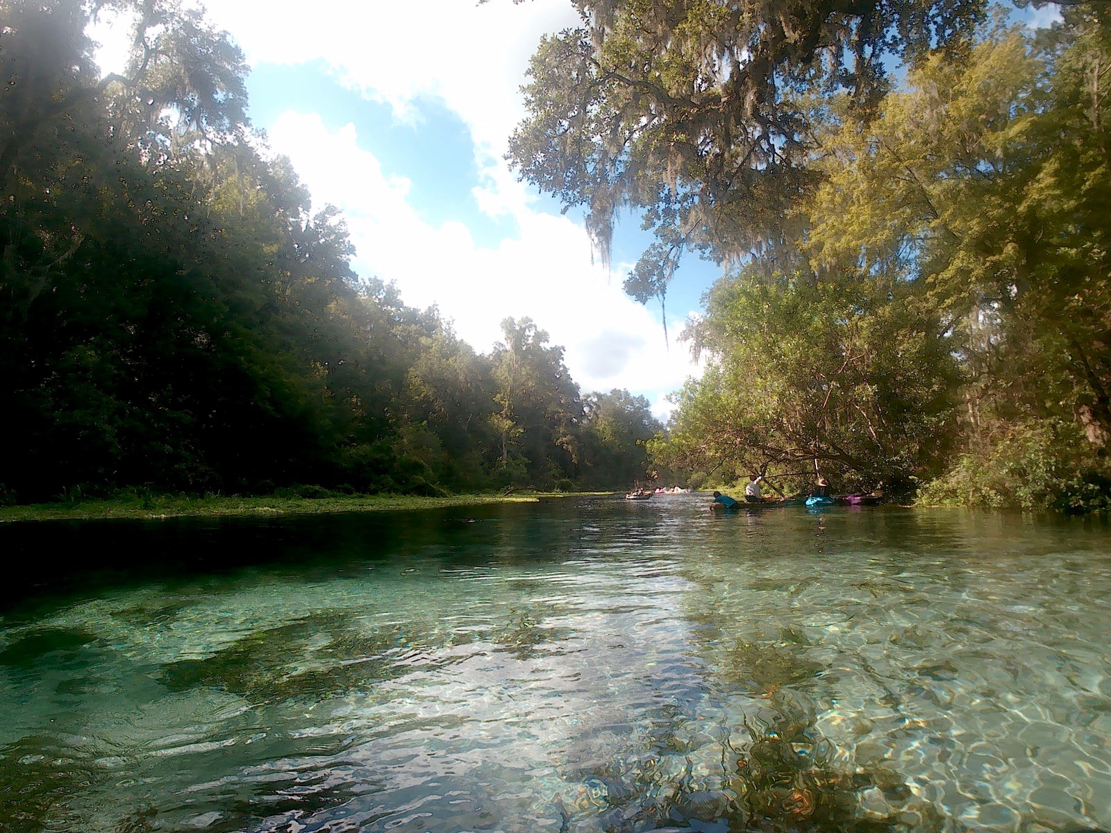 A group of tubers ahead on the Ichetucknee River