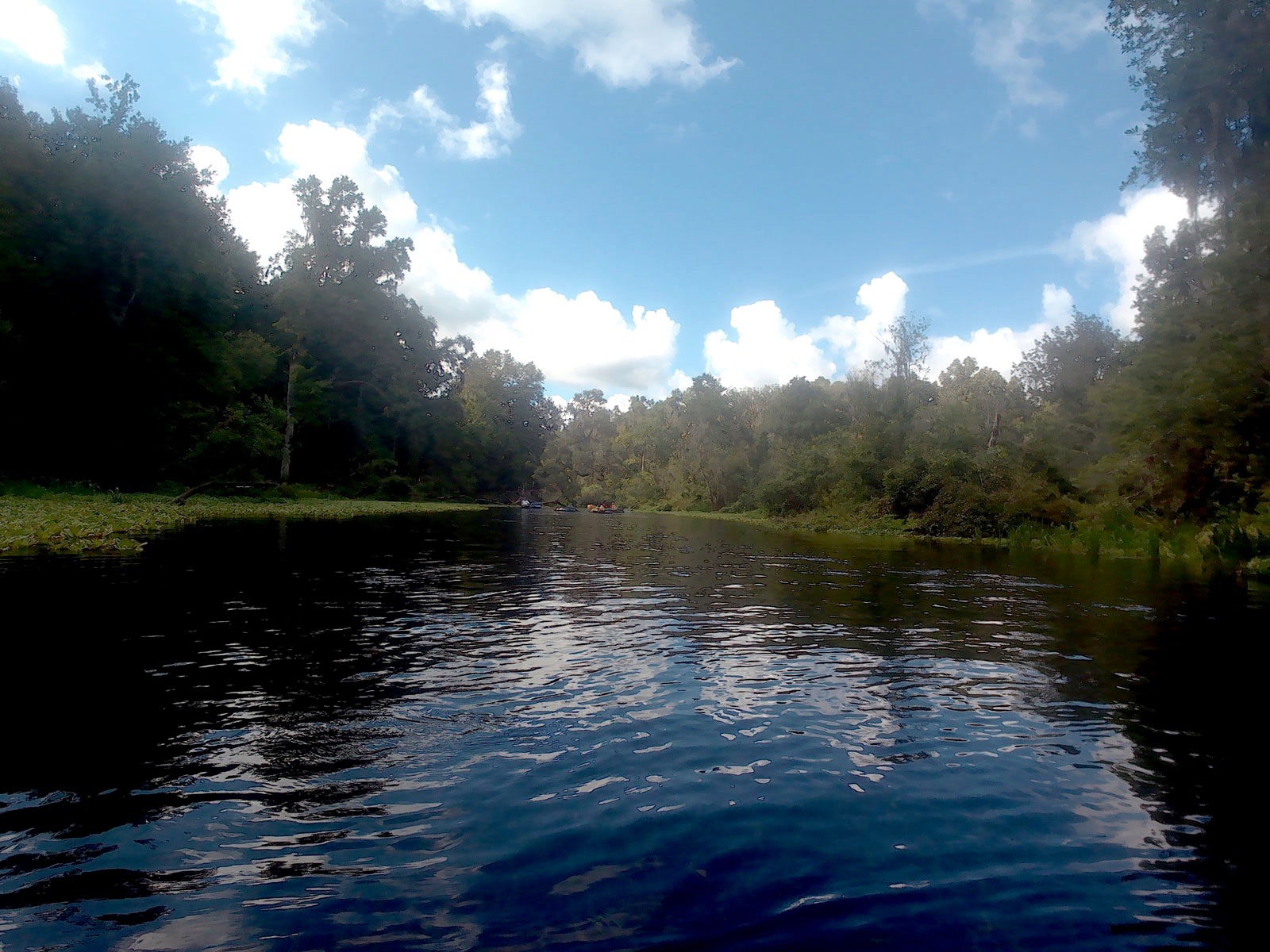 A group of tubers ahead in the distance on the Ichetucknee River