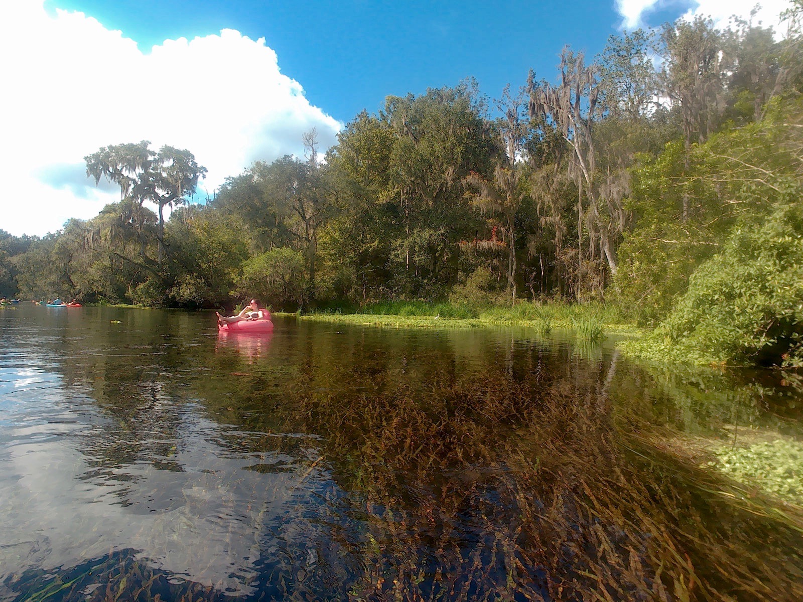 Alyssa floats in an inner tube on the Ichetucknee River