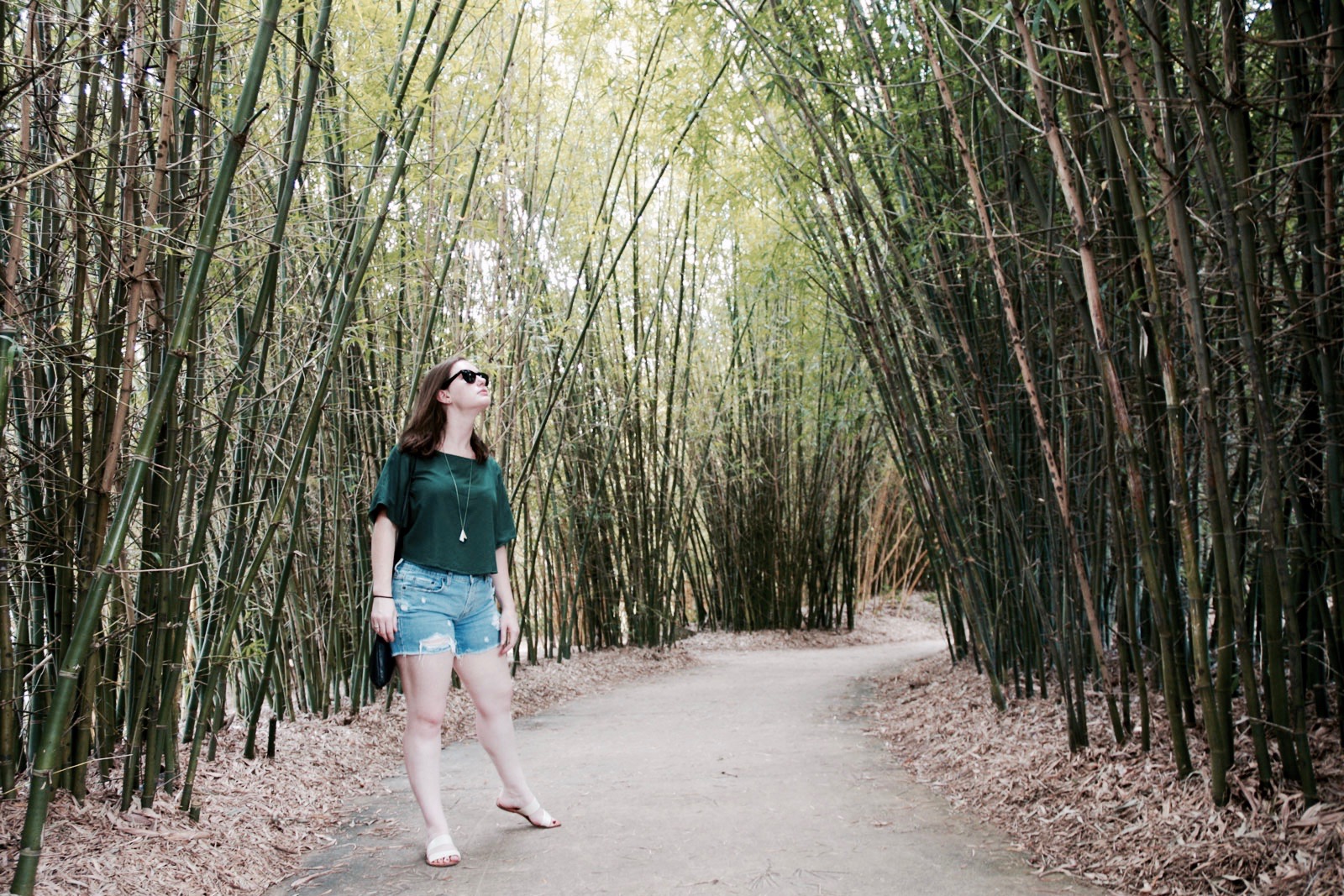 Alyssa stands in a bamboo garden at the Jacksonville Zoo