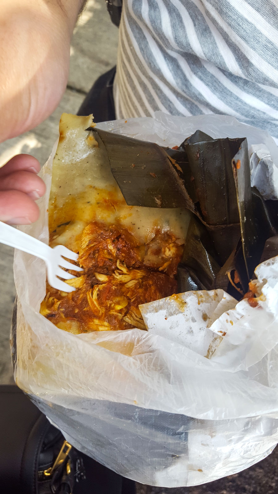 An open bag of Tamales Oaxaquenos