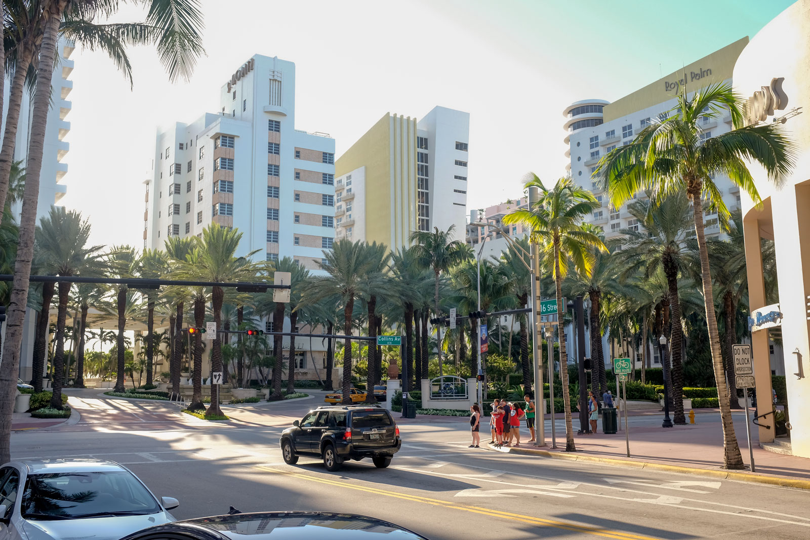 Miami Beach architecture with palm trees in the foreground