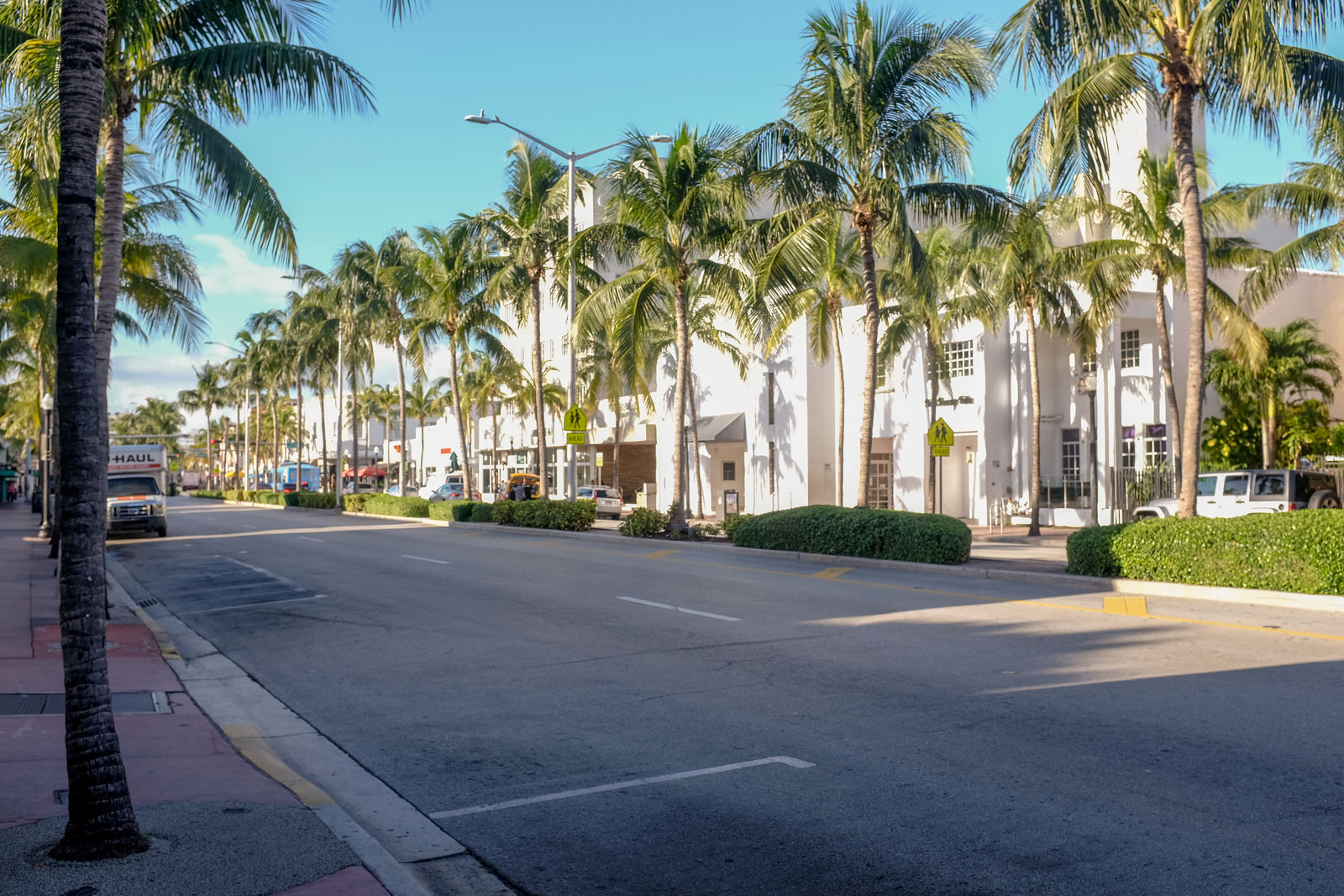 Architecture in Miami Beach with palm trees in the foreground