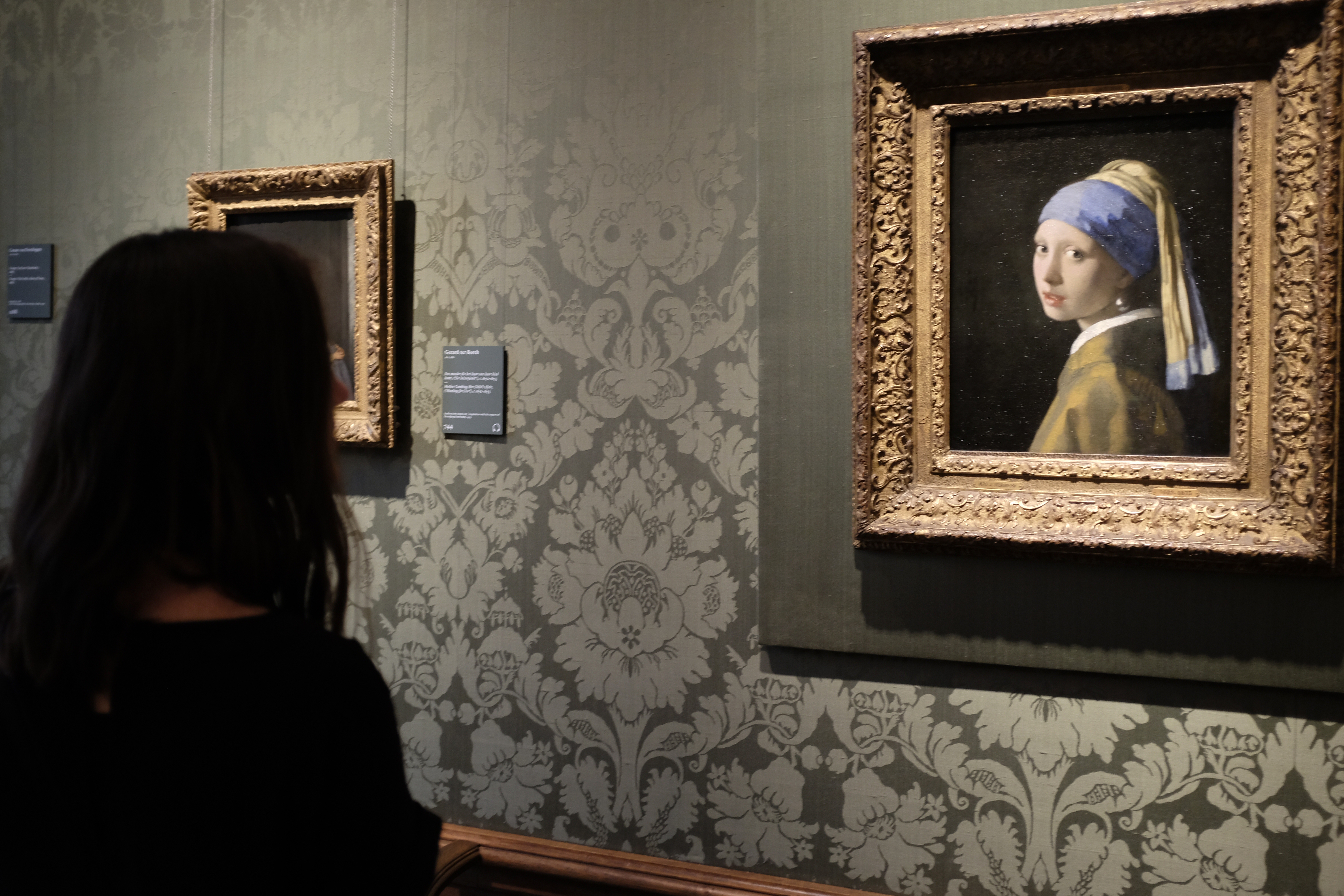 Alyssa looks at Girl with a Pearl Earring