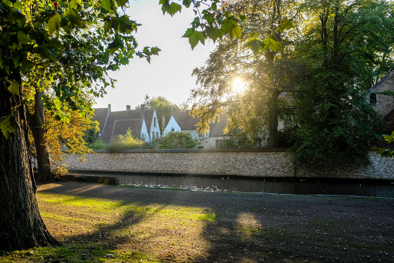 A canal and houses seen from one of Bruges' Parks