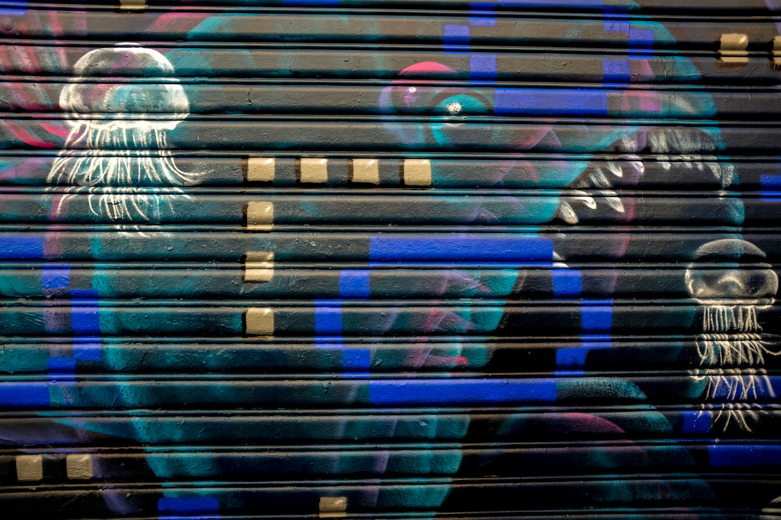 Graffiti of sea creatures in Ghent