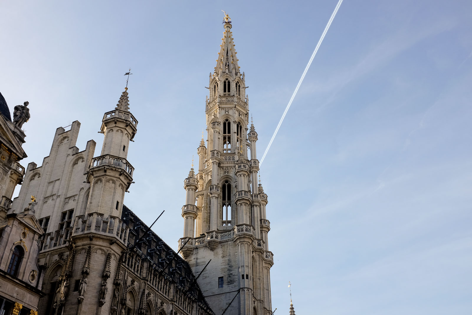 Ornate structures in Brussels Center