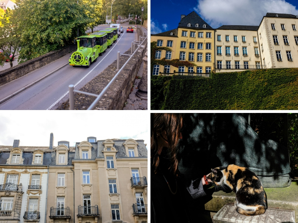 Scenes from wandering around Luxembourg City: A little train, building architecture, and Alyssa petting a cat