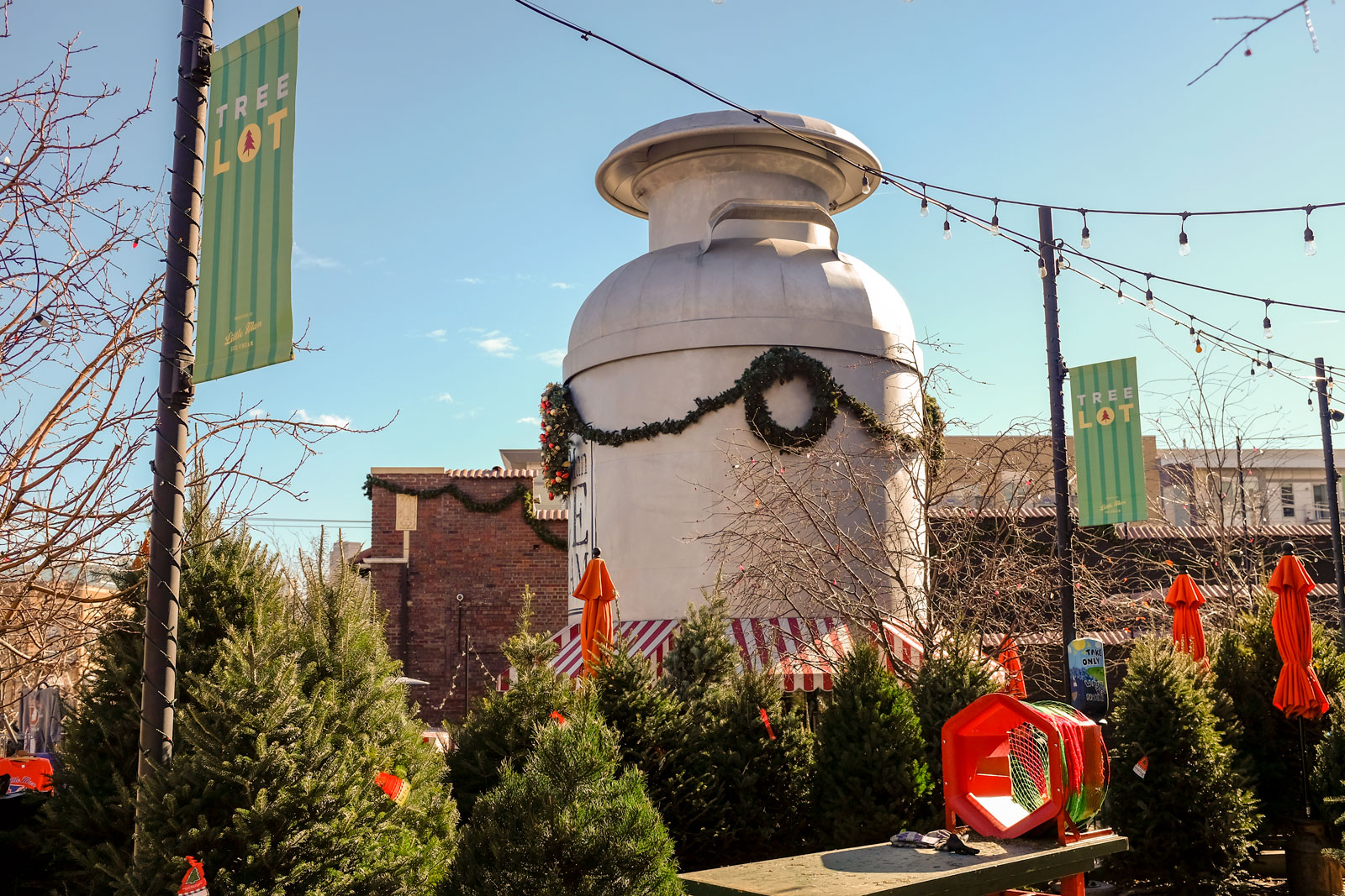 Little Man Ice Cream Christmas Tree Lot