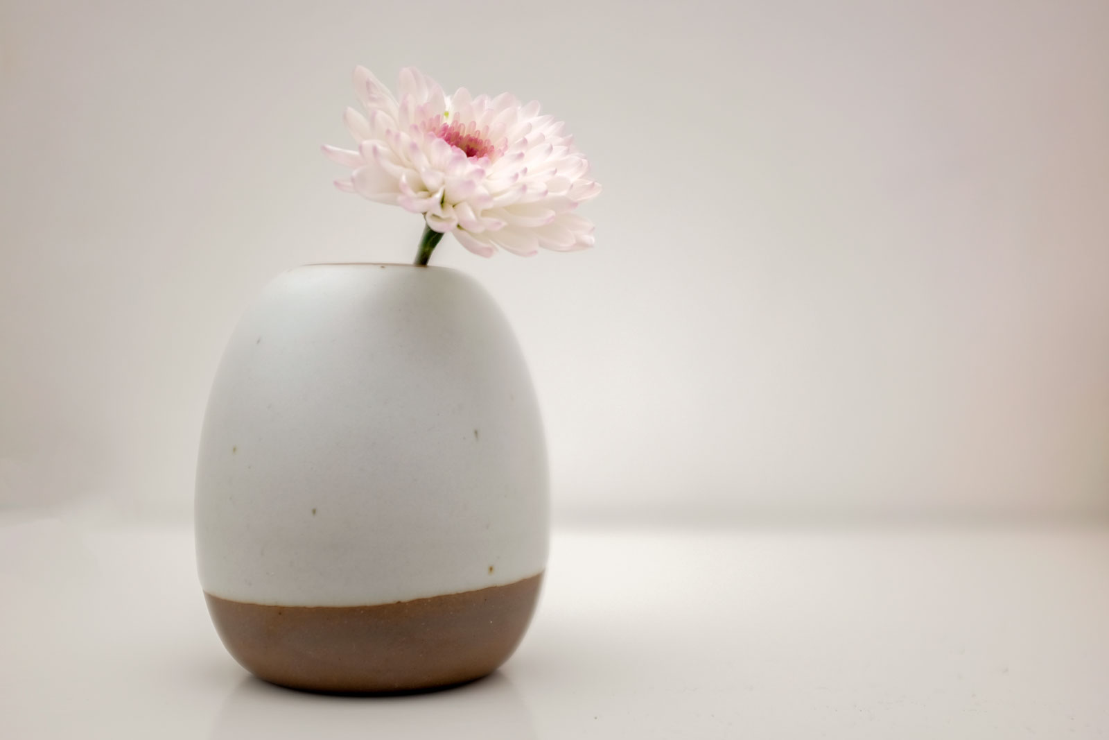 An East Fork Bud Vase with a flower