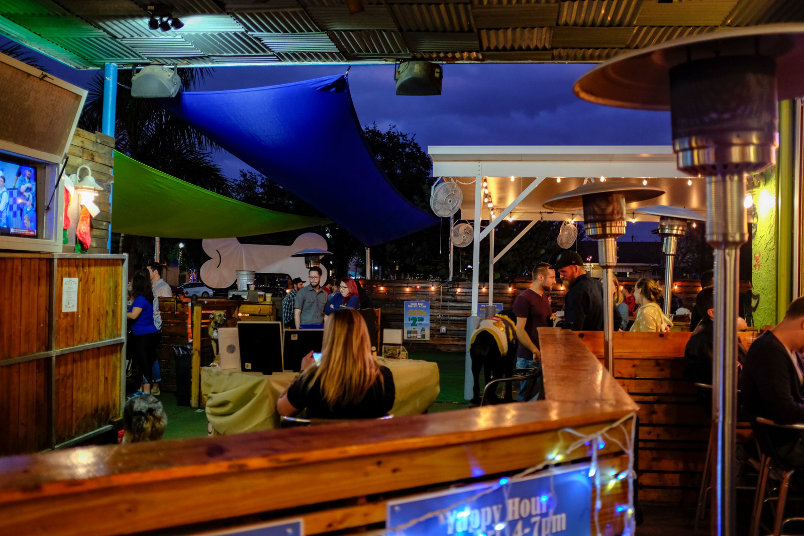 A crowd at the Dog Bar in St. Pete