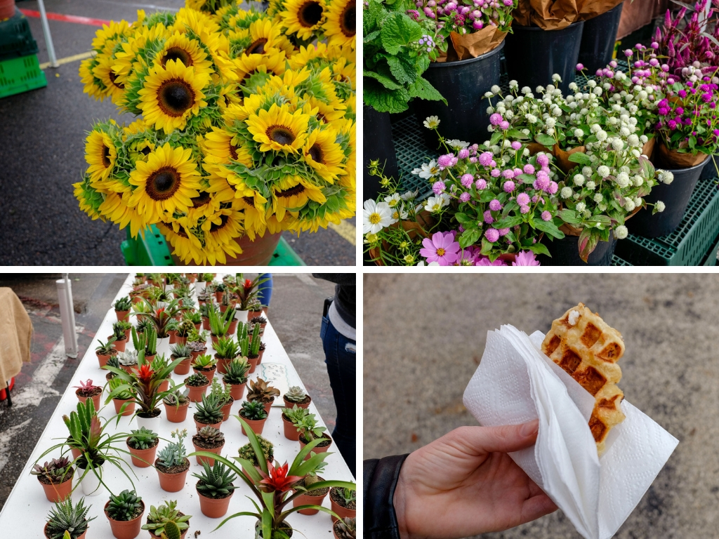 A collage of images at the Saturday market in St. Pete: flowers, plants, and waffles