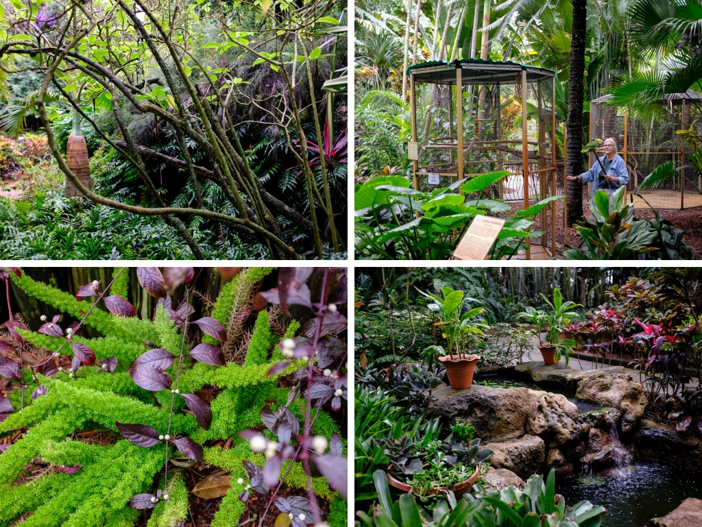 A collage of four photos taken at Sunken Gardens in St. Petersburg