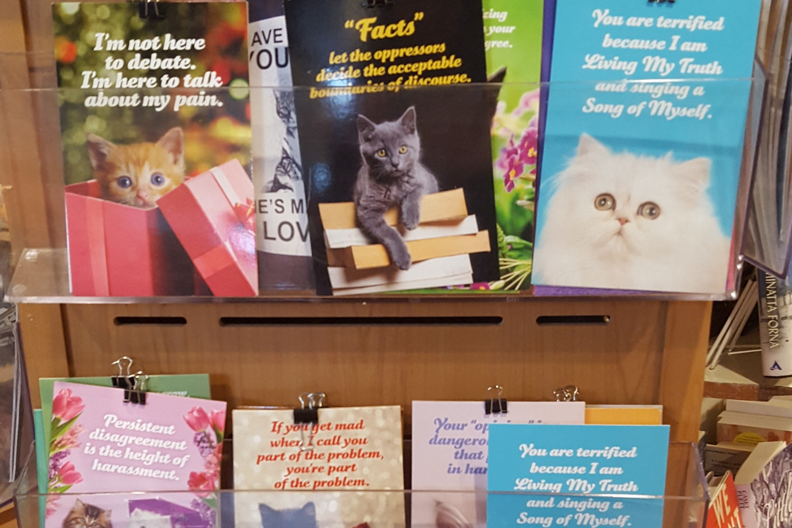 Progressive cat greeting cards at Firestorm Asheville