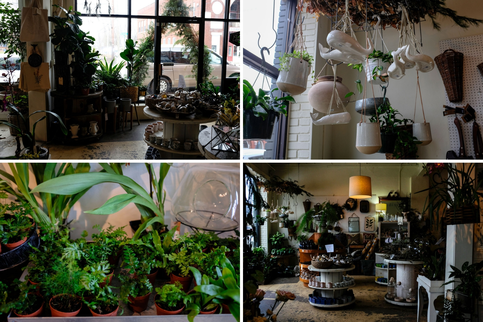 Four images of Flora Asheville's Interior
