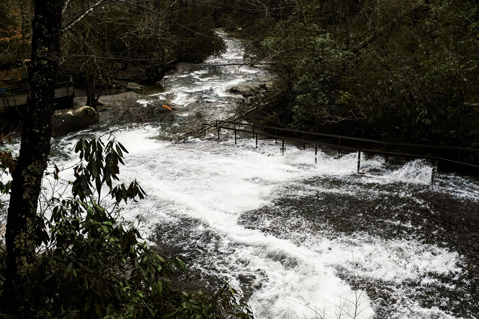 Looking downstream at Sliding Rock near Asheville