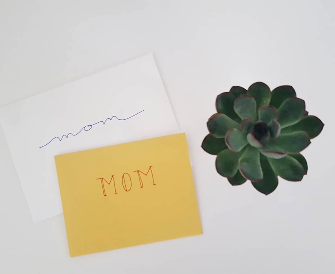 Two cards that say "Mom" and a succulent