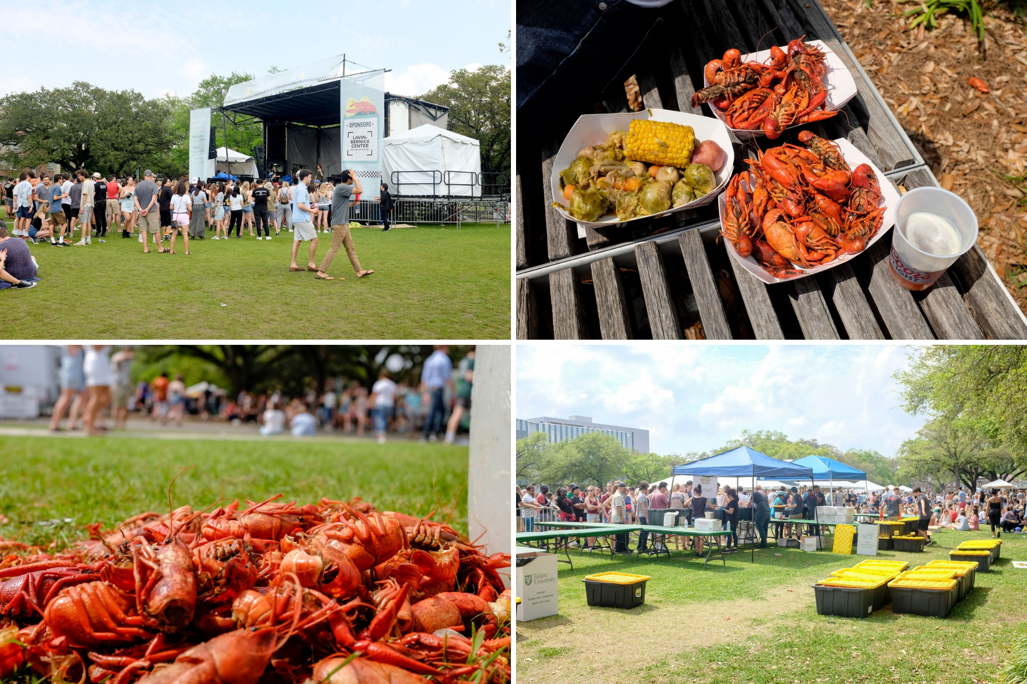 collage: concert stage, bowl of crawfish, empty shells, and buckets of crawfish