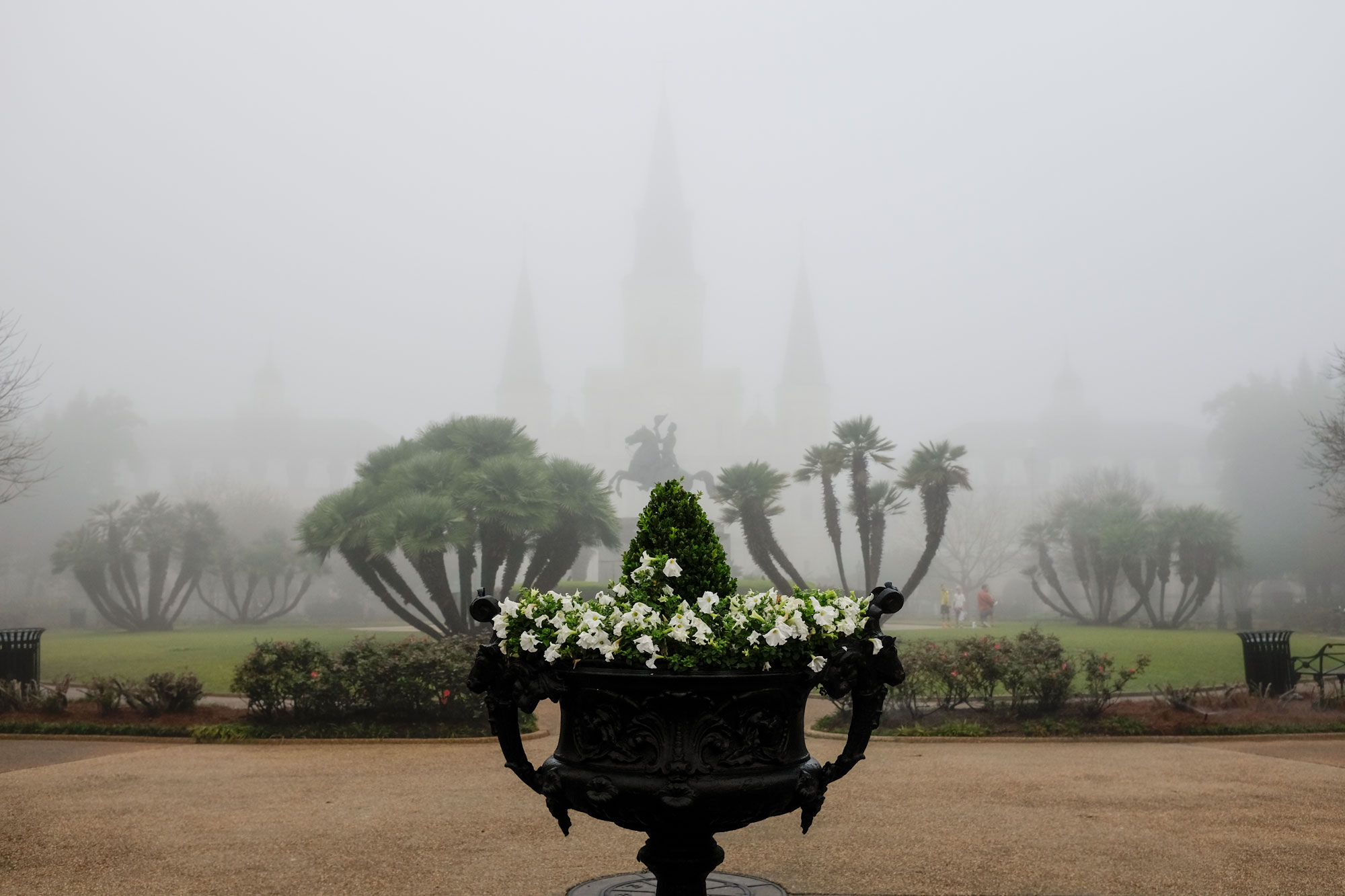 Foggy view over New Orleans Square