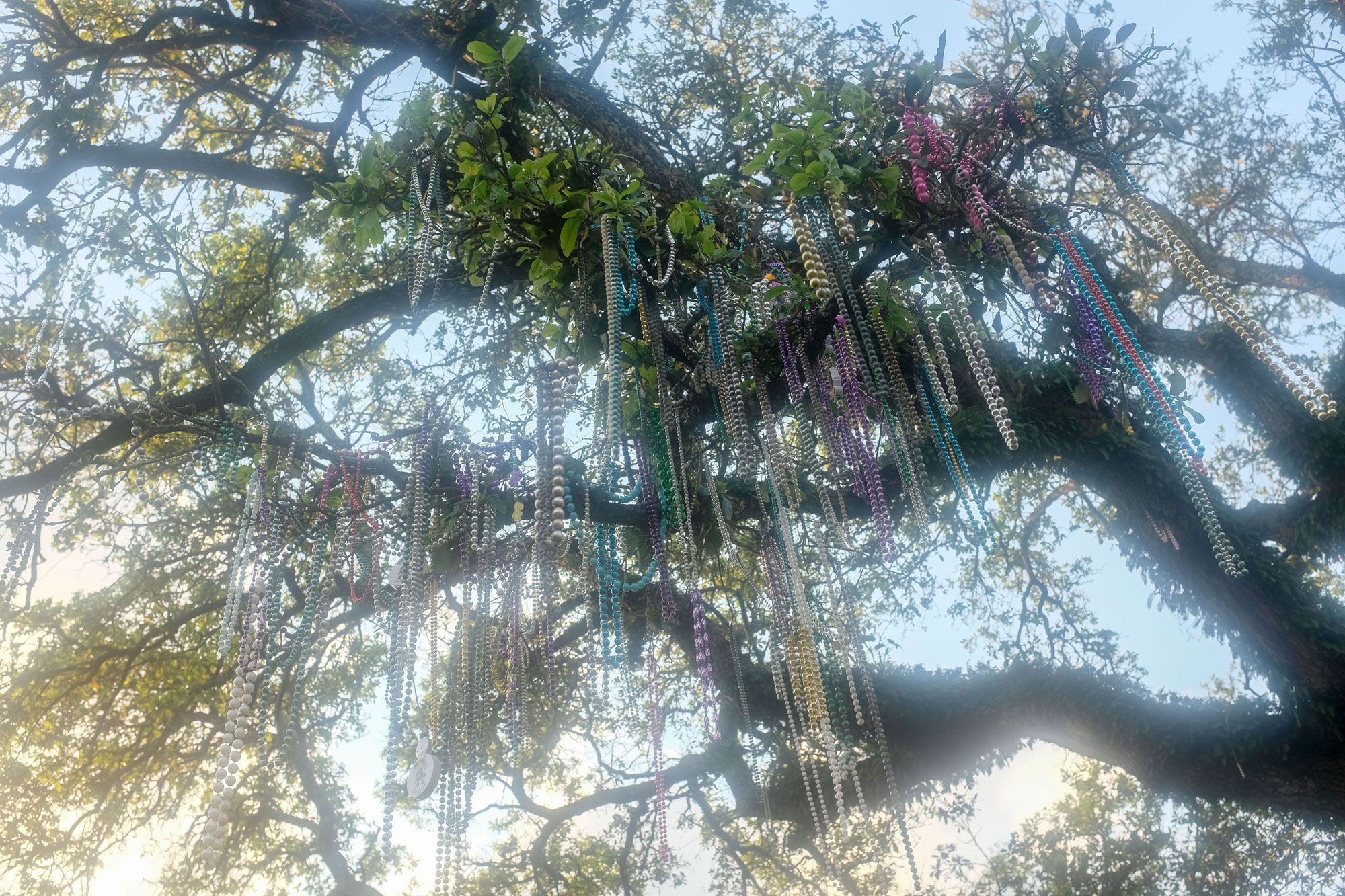 Tree with beads in it