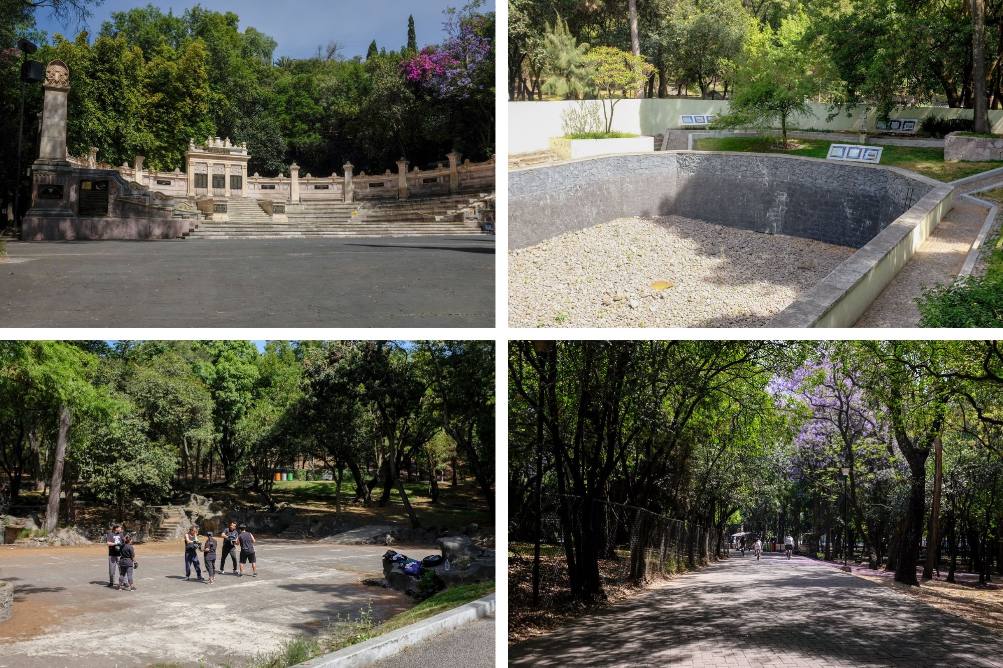 Collage: scenes from the park like lots of trees, sidewalks, amphitheater, and people practicing boxing 