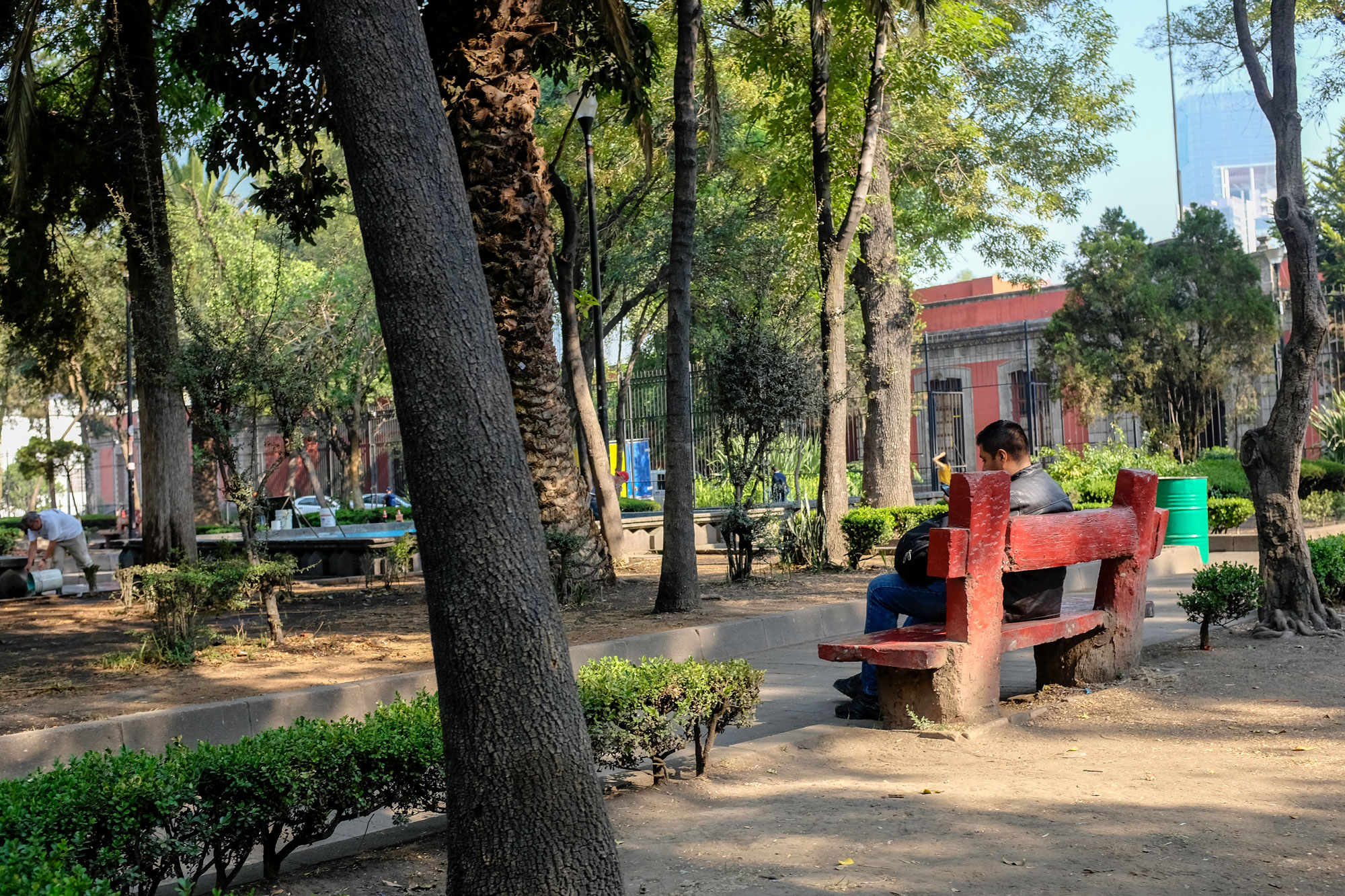 Man sitting on a bench in Parque Tolsa