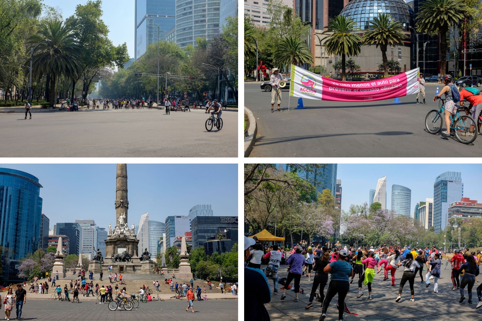 collage: cyclists and roller skaters on paseo de la reforma, people hanging out at the angel de la independencia, people participating in a zumba class