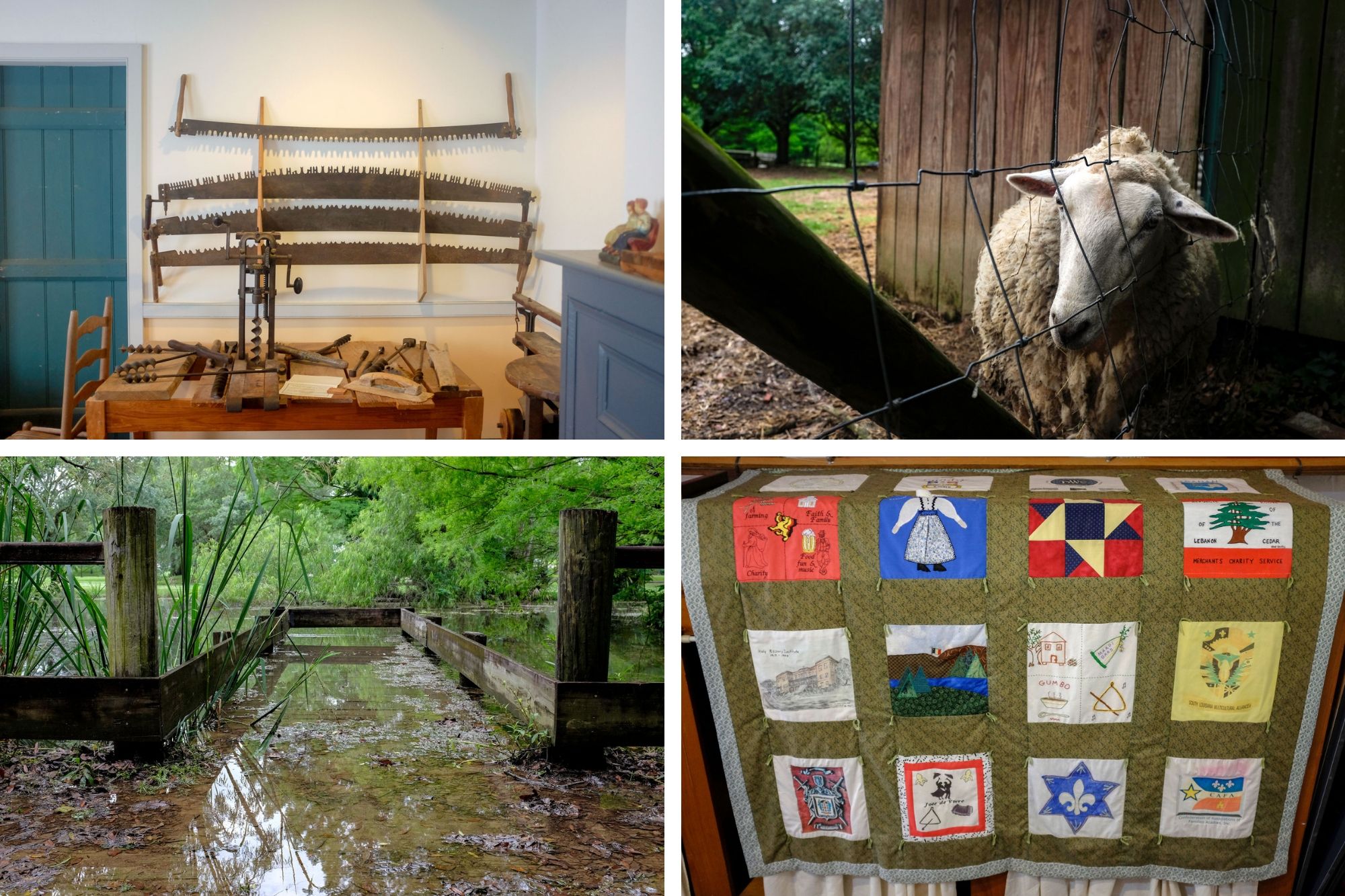 Collage: interior of woodworking studio, a sheep, a dock that is flooded, and a quilt