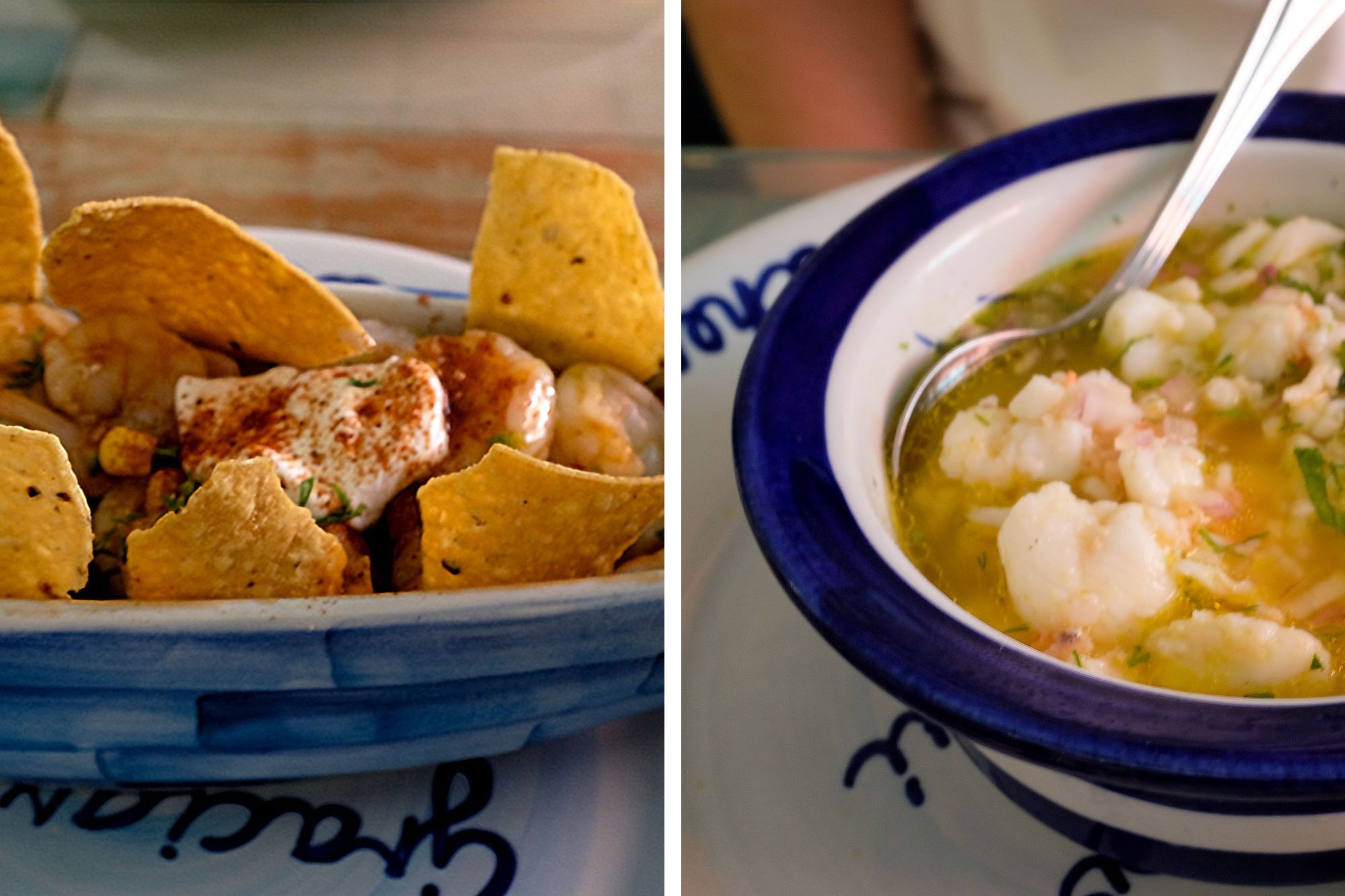 Collage: Michael's Mexican ceviche (tortilla chips and shrimp), and my lobster ceviche (broth and lobster).