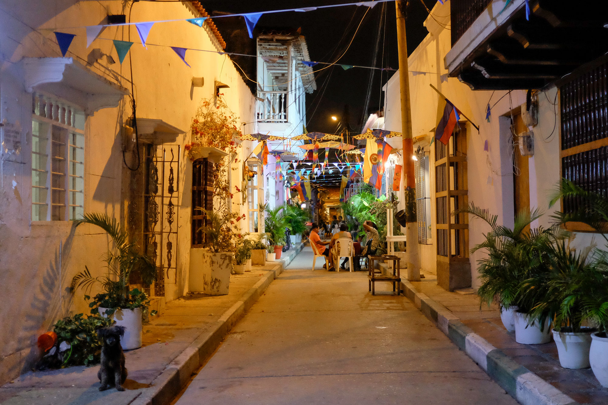 An alleyway with people playing cards at a table. There are banners hanging overhead and a cute dog in the foreground