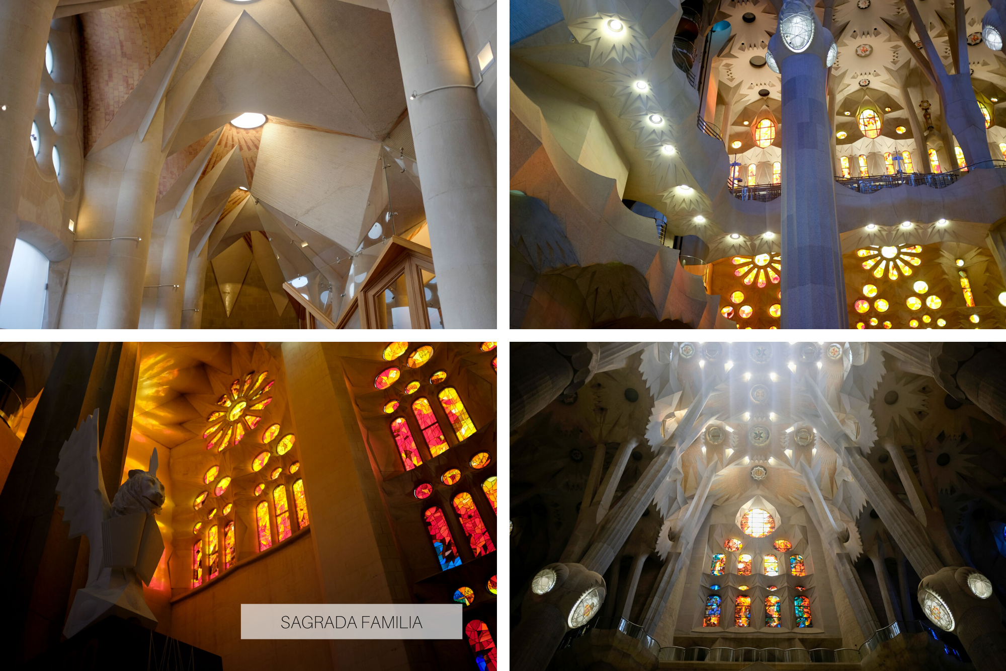 Collage: Interior of the Sagrada Familia