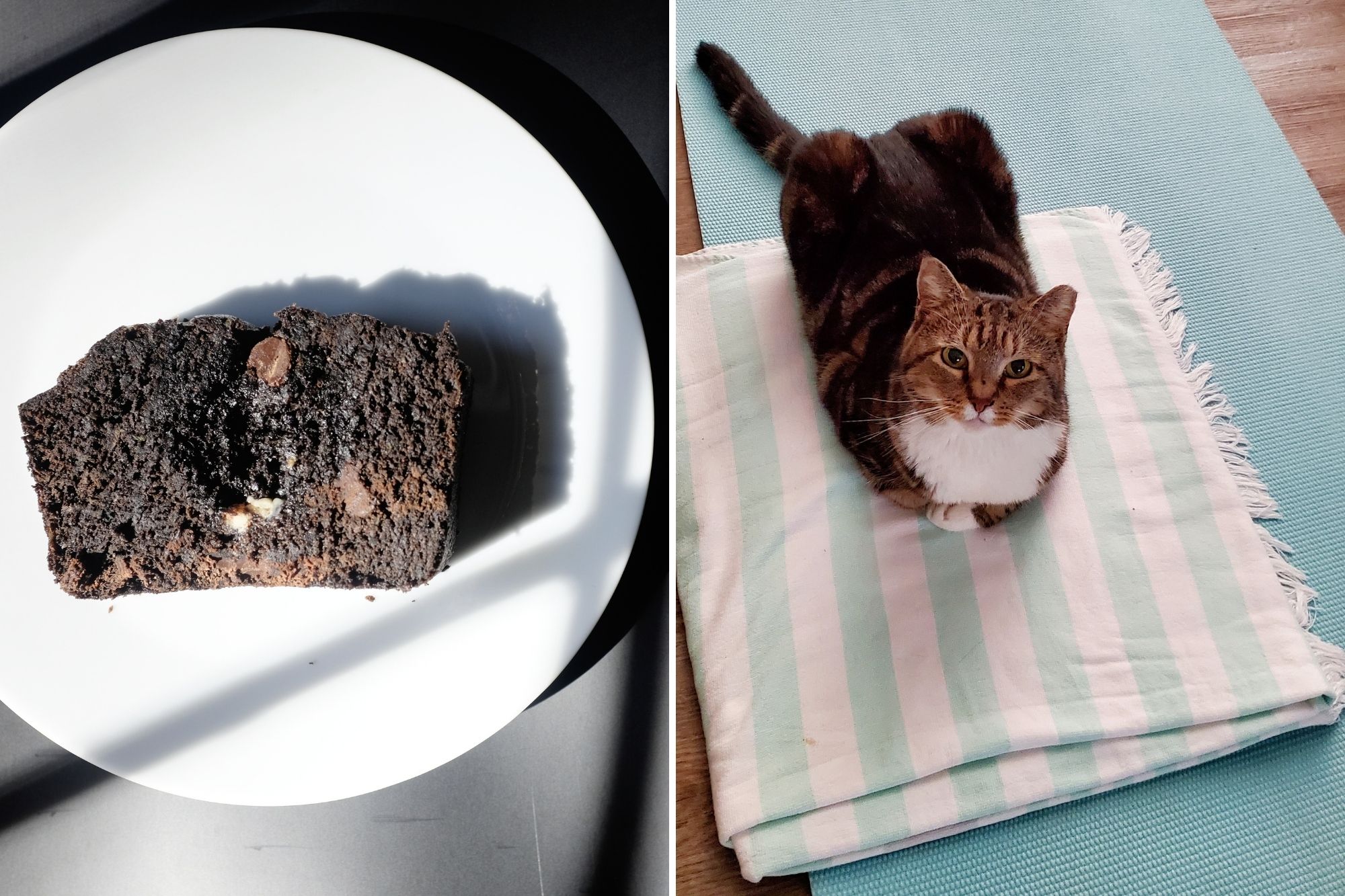Grid of two images: on the left is a slice of chocolate zucchini bread on a white plate; on the right is the cutest cat ever sitting on a towel on top of a yoga mat. She is looking at the camera with her paws crossed.