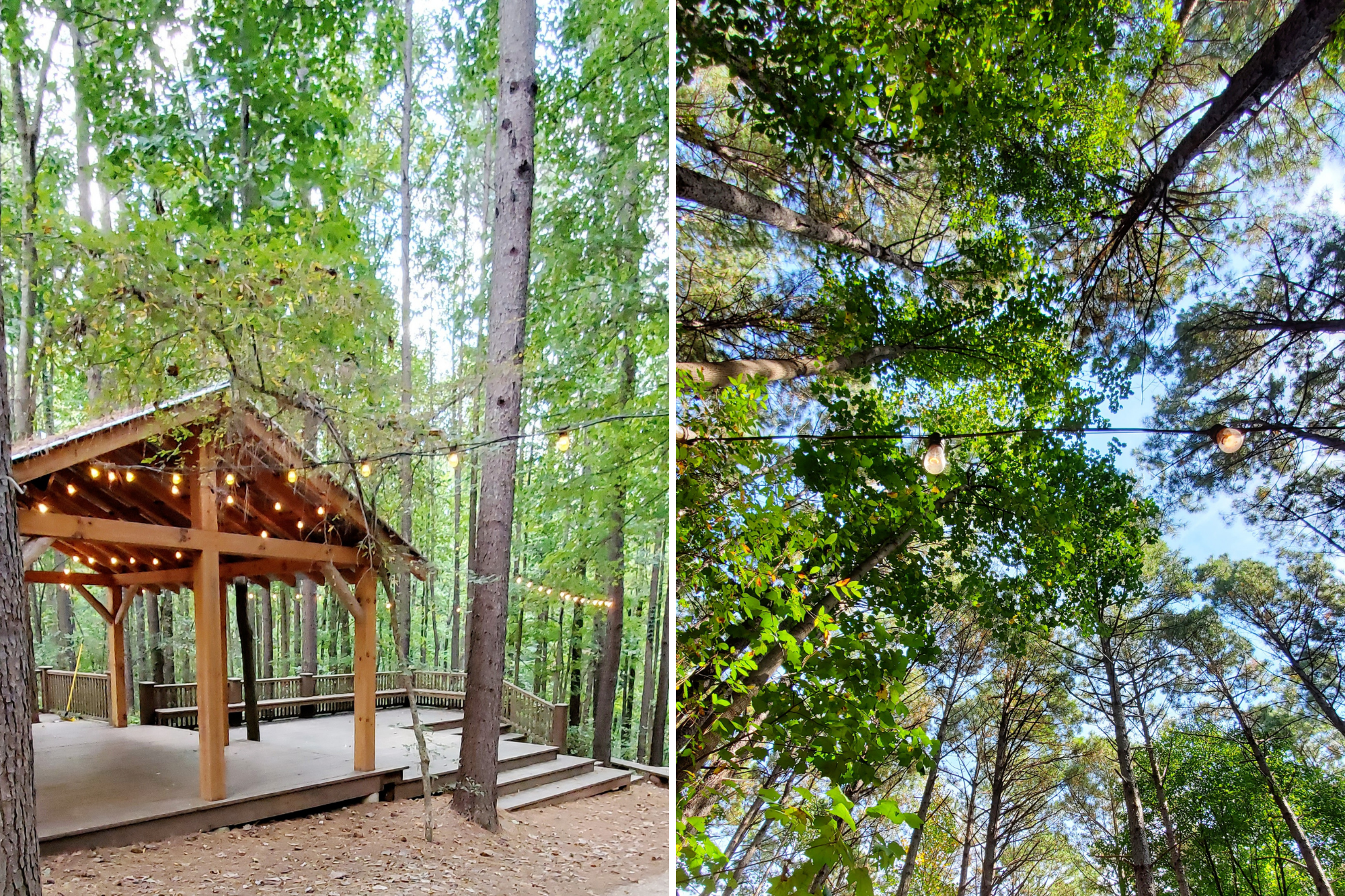 Images of lights strung in the trees in the yoga section of the Whitewater Center