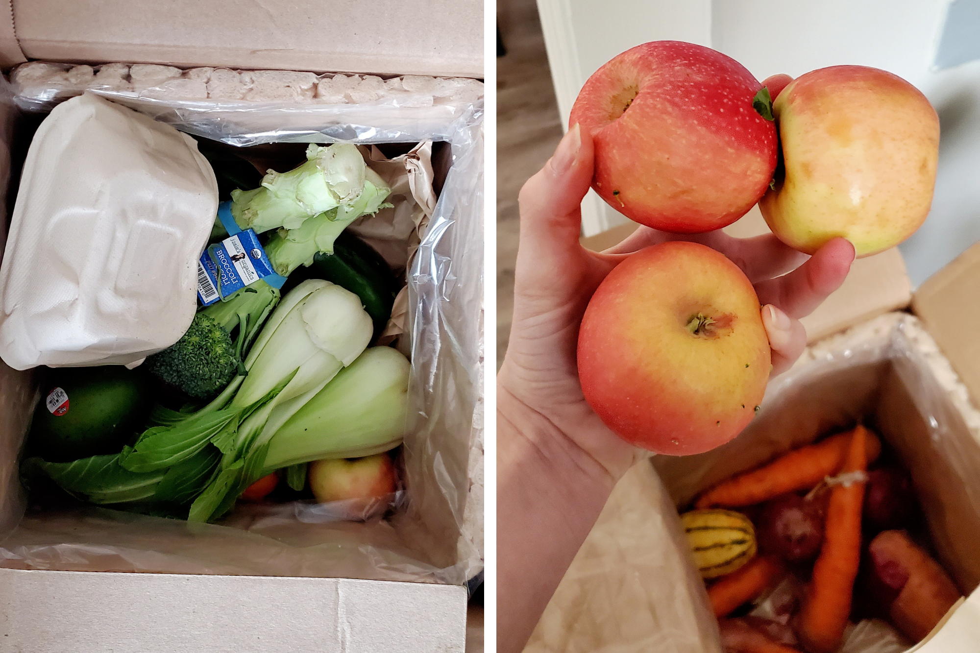 left: a cardboard box containing celery, broccoli, bok choy, and other veggies; right: Alyssa's hand holding three apples, beneath them is the rest of the box which has lots of carrots and a delicata squash