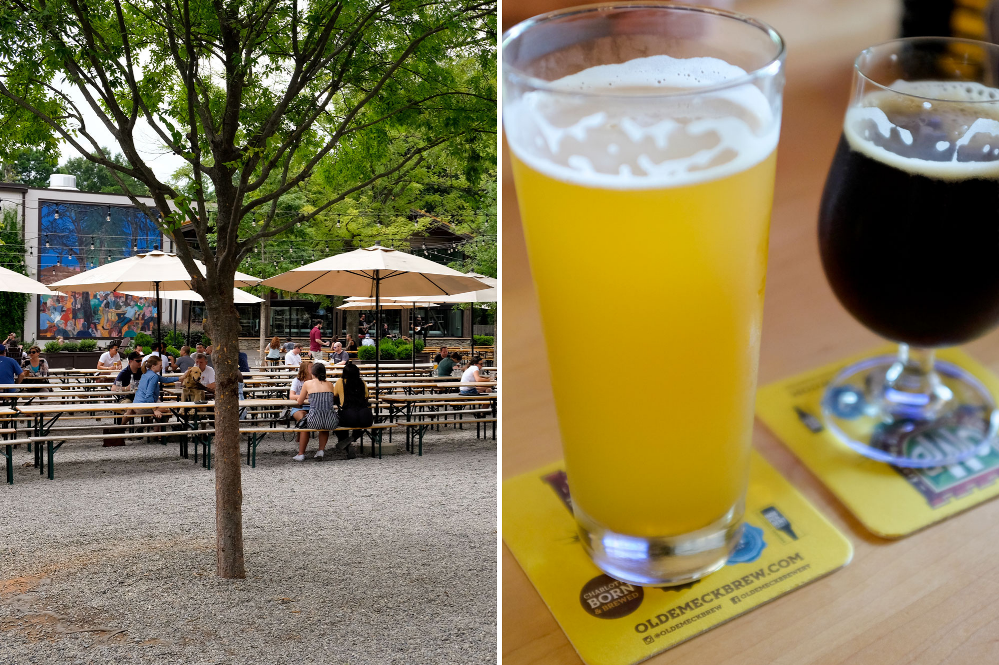 Collage of two photos. On left is a biergarten with long tables and umbrellas and lots of people, and on the right is two beers, a light beer in a tall glass and a dark beer in a snifter-style glass