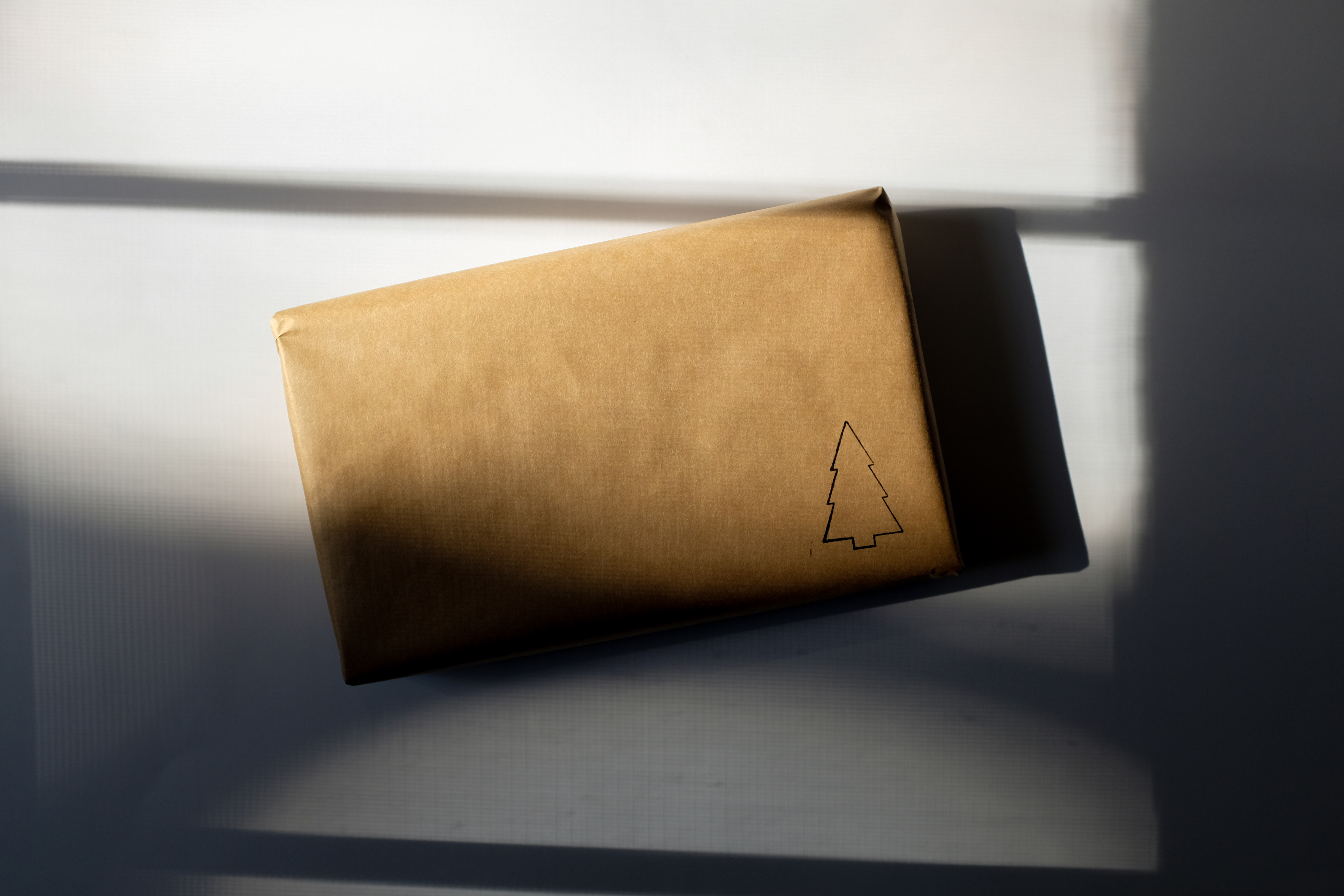 A brown paper package with a tree stamp