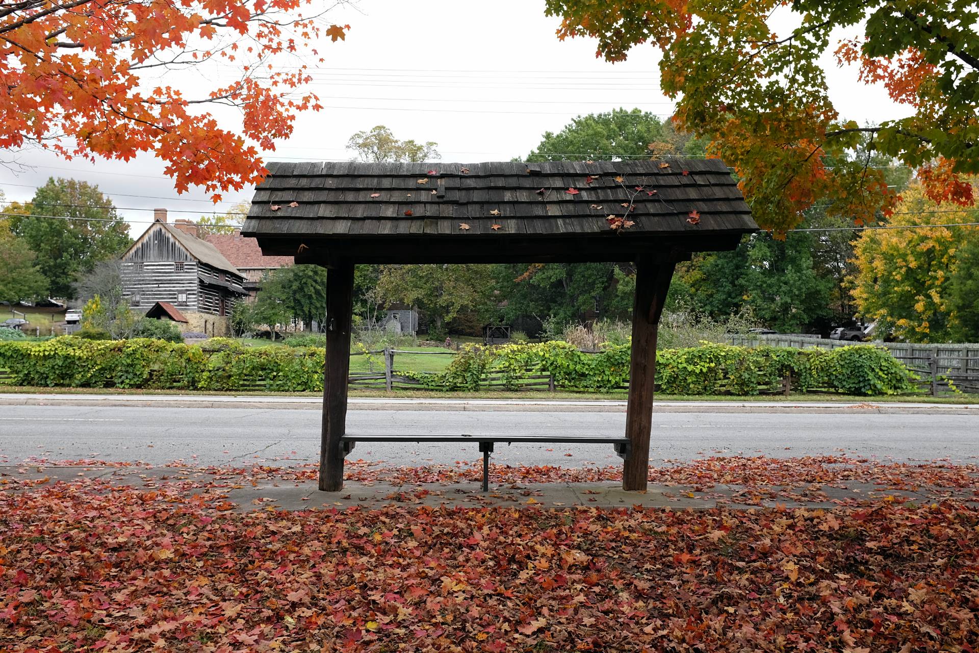 An old leaning covered bench and lots of colorful leaves on the ground underneath it
