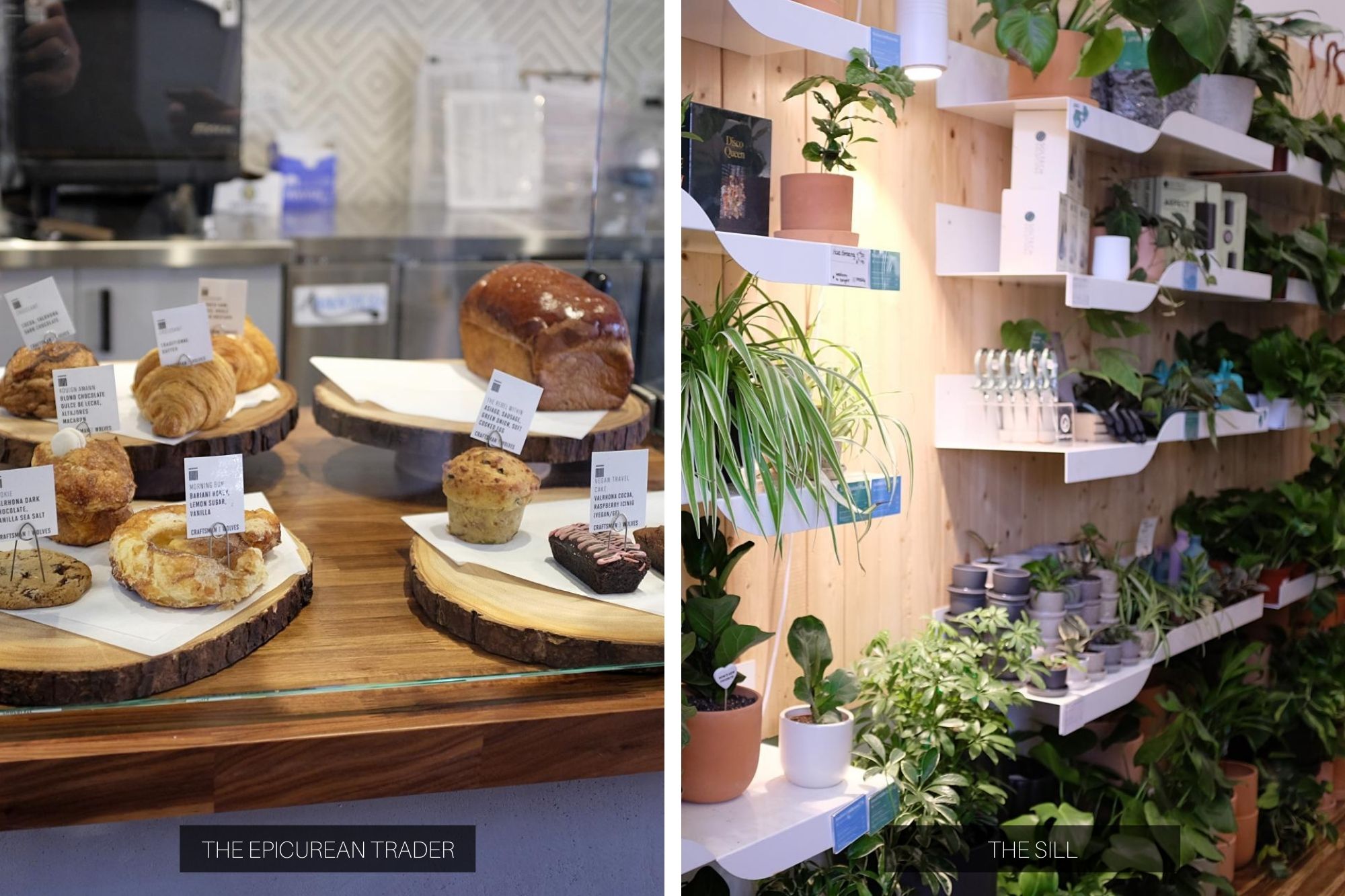 Left: pastries at The Epicurean Trader, Right: plants at The Sill