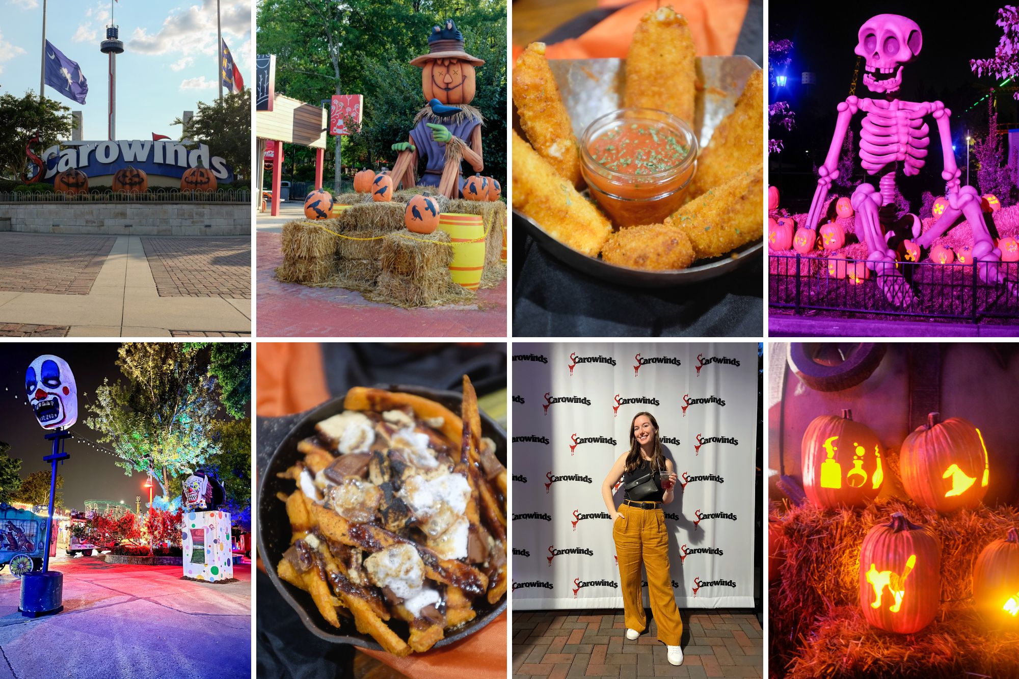 Collage of images from SCarowinds