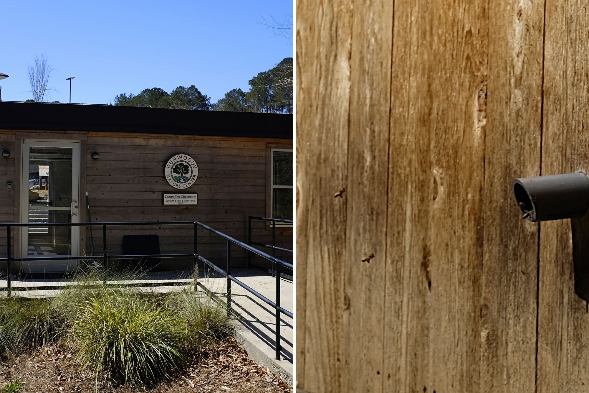 Collage: education center and bees at Dunwoody Nature Center