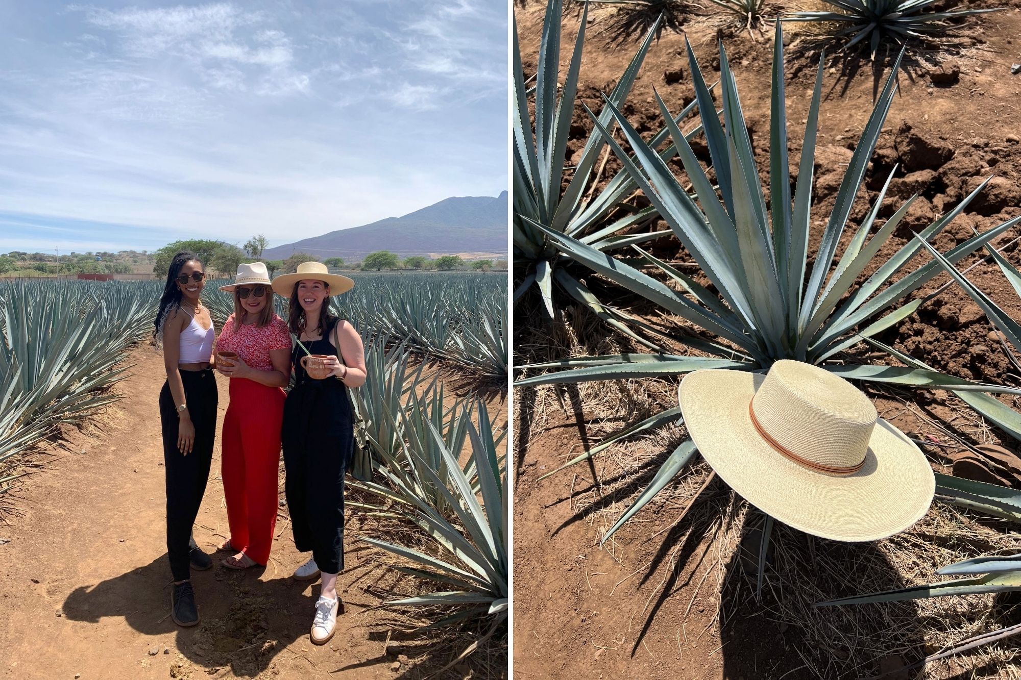 three women in an agave field, and a hat in an agave plant