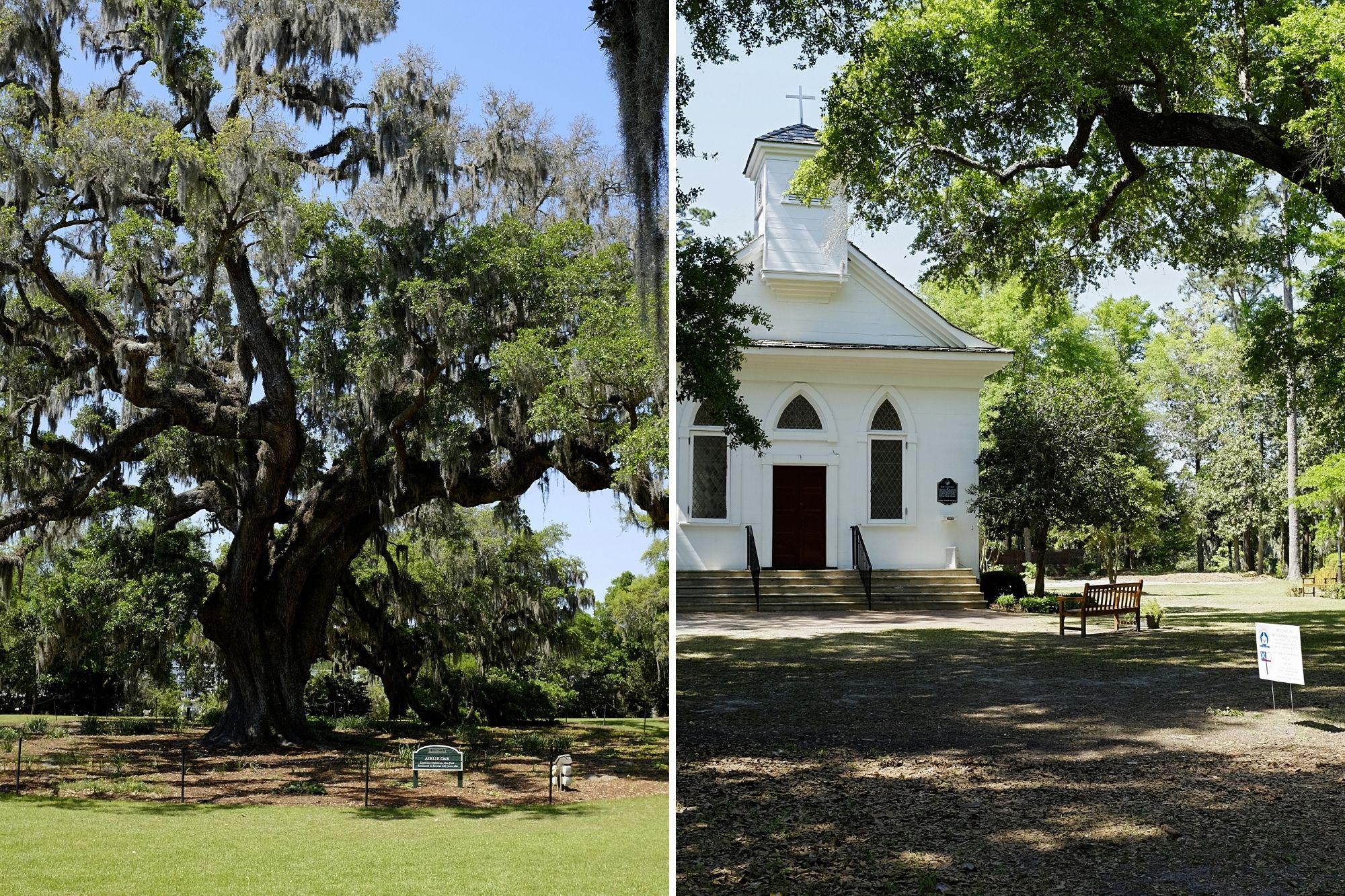 Left: Airlie Oak, Right: Chapel