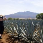 Tequila Day Trip: Our Airbnb Experience and What You Need to Know Before You Go