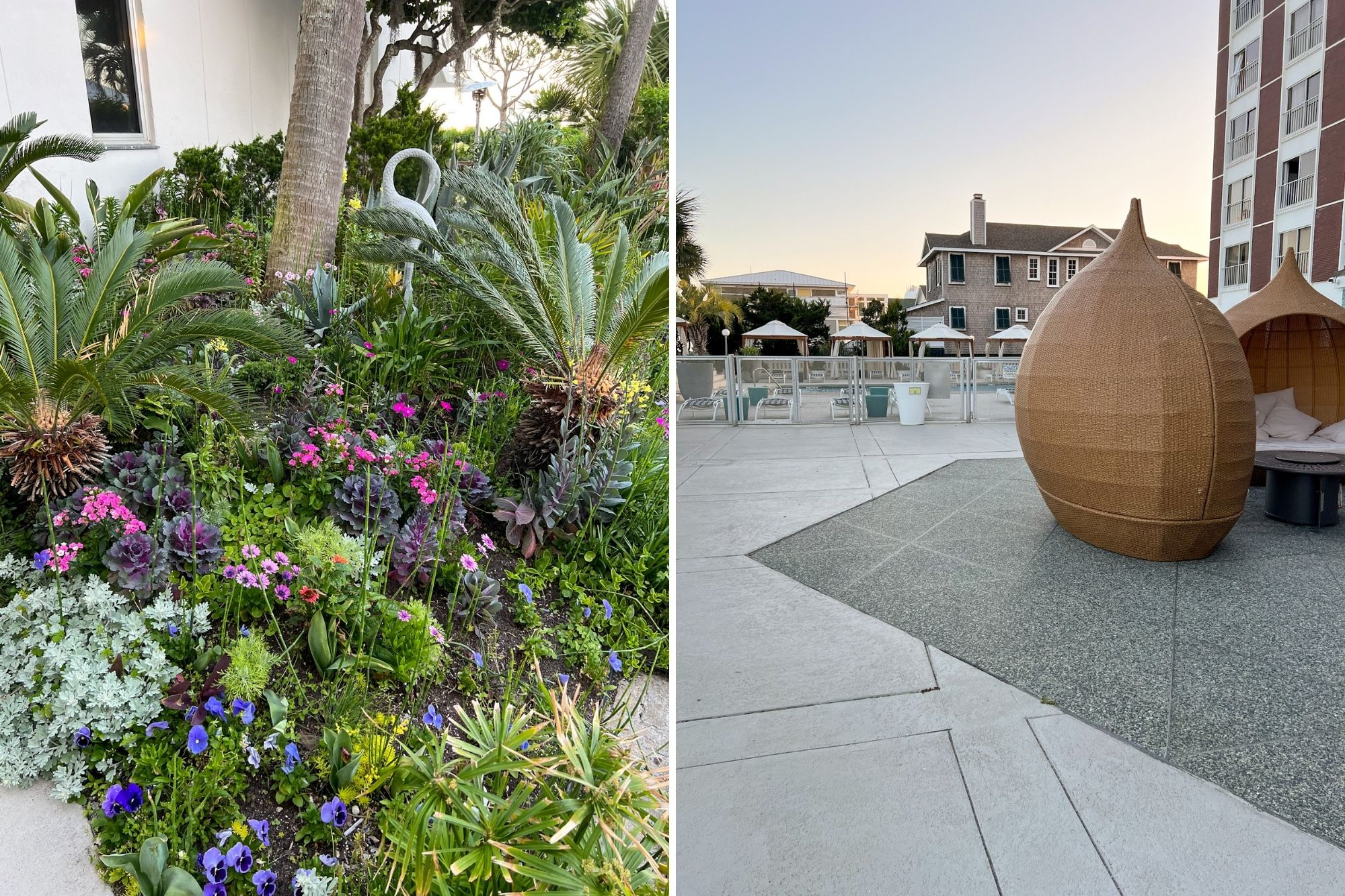 Landscaping and poolside at the Blockade Runner