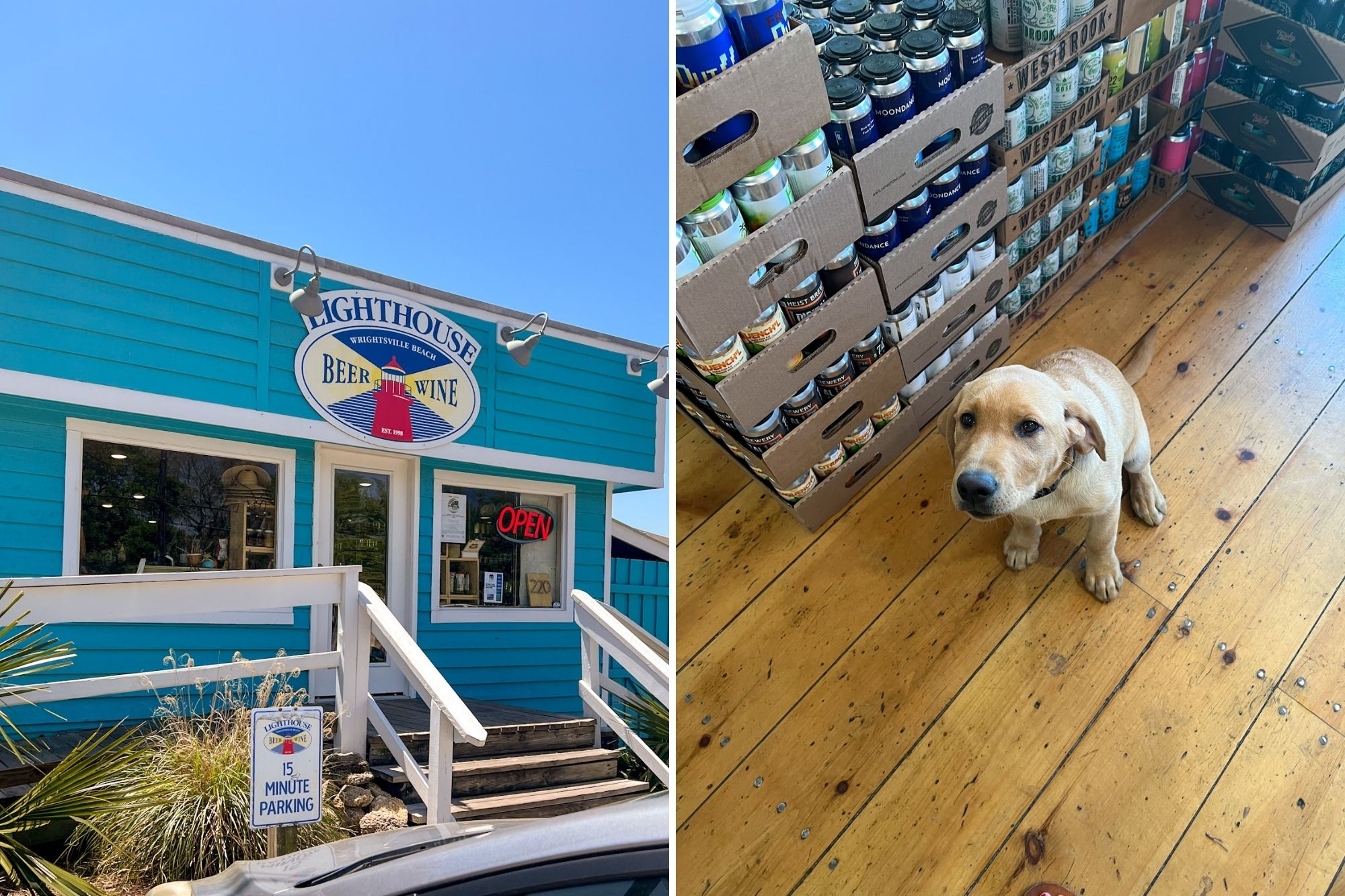 Exterior of the shop, and a cute shop dog